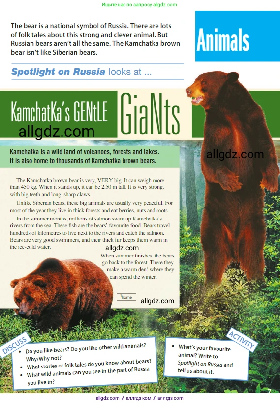 Английский язык (english), 5 класс Учебник (Student's book), авторы: Ваулина Юлия Евгеньевна (Vaulina Julia), Дули Дженни (Dooley Jenny), Подоляко Ольга Евгеньевна (Podolyako Olga), Эванс Вирджиния (Evans Virginia), издательство Просвещение, Москва, 2023, жёлтого цвета, страница 131, Условие 2023-2027