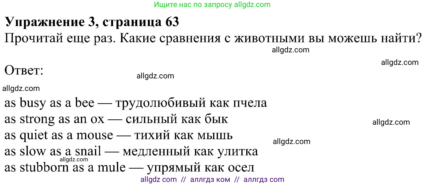 Английский язык (english), 5 класс Учебник (Student's book), авторы: Ваулина Юлия Евгеньевна (Vaulina Julia), Дули Дженни (Dooley Jenny), Подоляко Ольга Евгеньевна (Podolyako Olga), Эванс Вирджиния (Evans Virginia), издательство Просвещение, Москва, 2023, жёлтого цвета, страница 63, номер 3, Решение 1 (2023-2027)