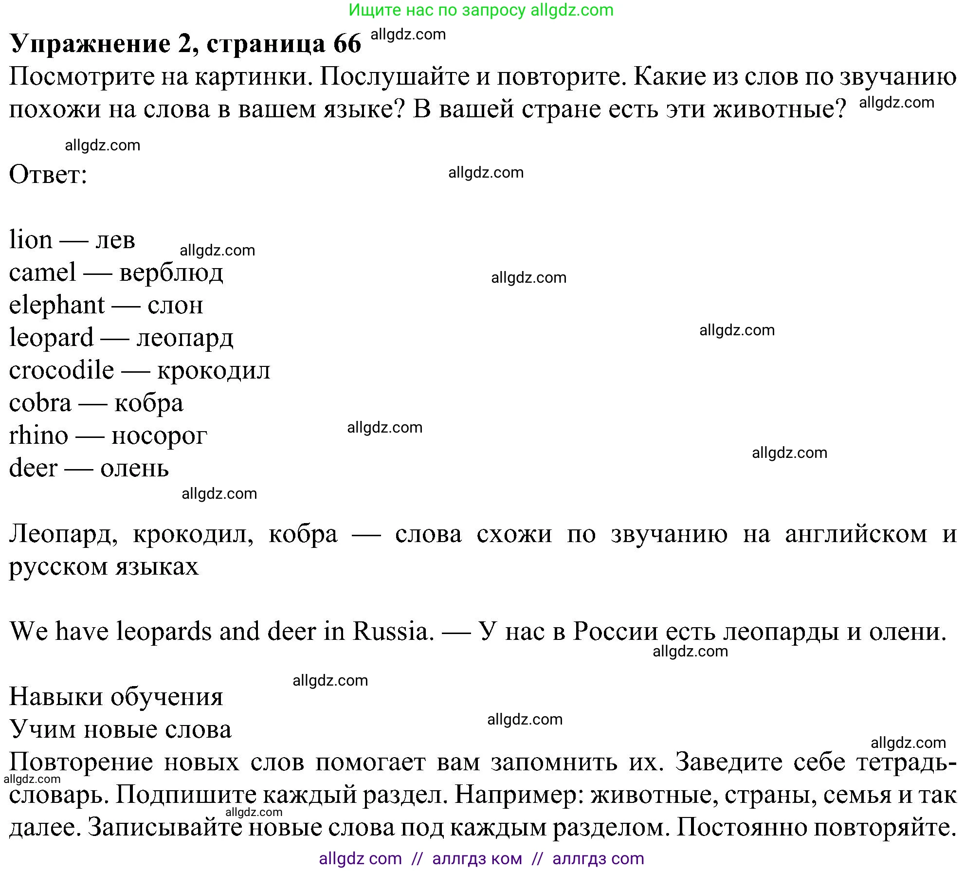 Английский язык (english), 5 класс Учебник (Student's book), авторы: Ваулина Юлия Евгеньевна (Vaulina Julia), Дули Дженни (Dooley Jenny), Подоляко Ольга Евгеньевна (Podolyako Olga), Эванс Вирджиния (Evans Virginia), издательство Просвещение, Москва, 2023, жёлтого цвета, страница 66, номер 2, Решение 1 (2023-2027)