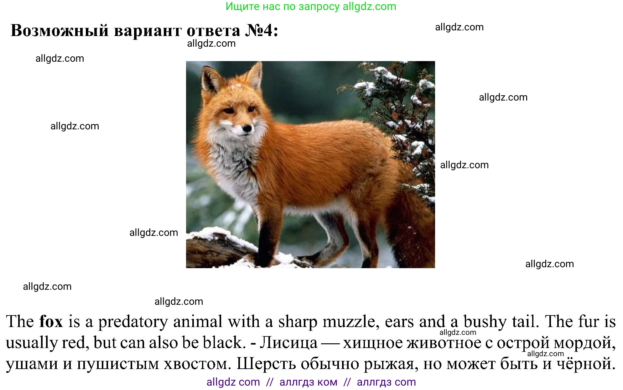 Английский язык (english), 5 класс Учебник (Student's book), авторы: Ваулина Юлия Евгеньевна (Vaulina Julia), Дули Дженни (Dooley Jenny), Подоляко Ольга Евгеньевна (Podolyako Olga), Эванс Вирджиния (Evans Virginia), издательство Просвещение, Москва, 2023, жёлтого цвета, страница 69, номер 10, Решение 1 (2023-2027) (продолжение 3)