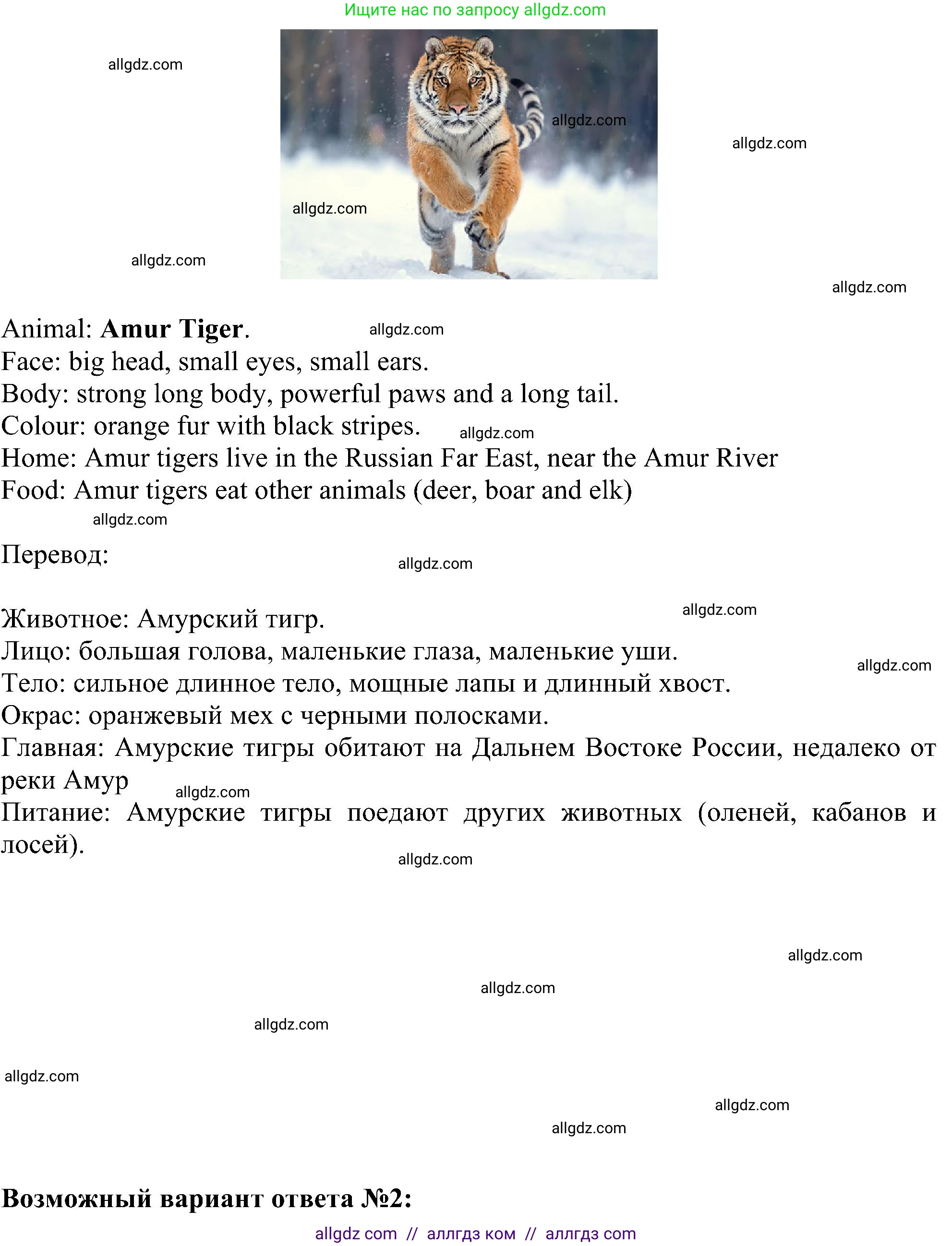 Английский язык (english), 5 класс Учебник (Student's book), авторы: Ваулина Юлия Евгеньевна (Vaulina Julia), Дули Дженни (Dooley Jenny), Подоляко Ольга Евгеньевна (Podolyako Olga), Эванс Вирджиния (Evans Virginia), издательство Просвещение, Москва, 2023, жёлтого цвета, страница 71, номер 4, Решение 1 (2023-2027) (продолжение 2)