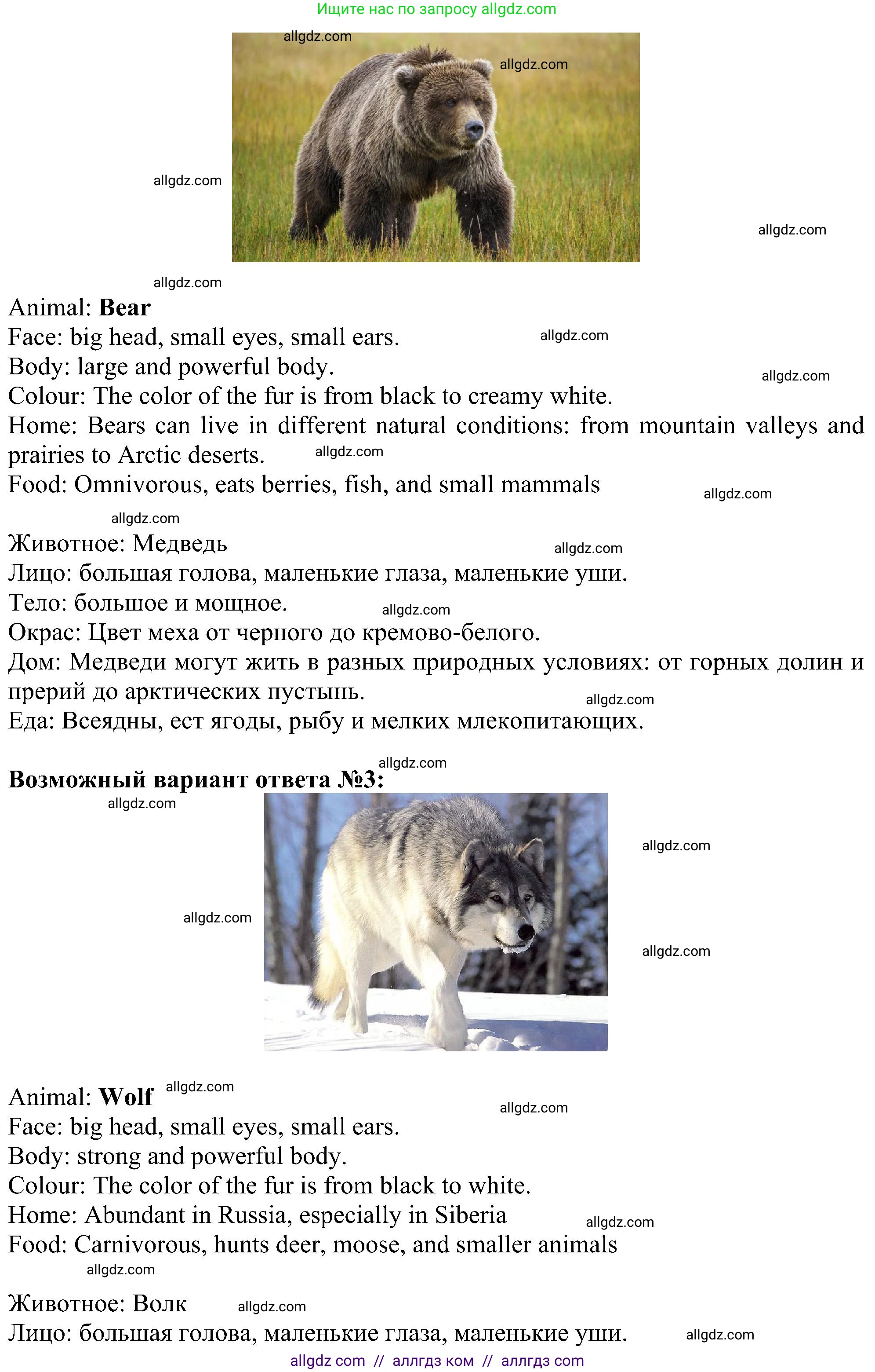 Английский язык (english), 5 класс Учебник (Student's book), авторы: Ваулина Юлия Евгеньевна (Vaulina Julia), Дули Дженни (Dooley Jenny), Подоляко Ольга Евгеньевна (Podolyako Olga), Эванс Вирджиния (Evans Virginia), издательство Просвещение, Москва, 2023, жёлтого цвета, страница 71, номер 4, Решение 1 (2023-2027) (продолжение 3)