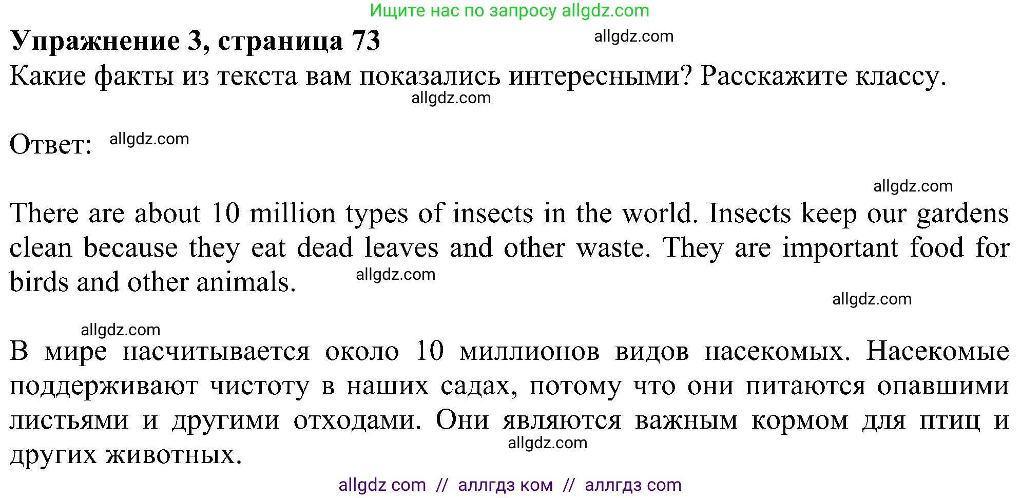 Английский язык (english), 5 класс Учебник (Student's book), авторы: Ваулина Юлия Евгеньевна (Vaulina Julia), Дули Дженни (Dooley Jenny), Подоляко Ольга Евгеньевна (Podolyako Olga), Эванс Вирджиния (Evans Virginia), издательство Просвещение, Москва, 2023, жёлтого цвета, страница 73, номер 3, Решение 1 (2023-2027)