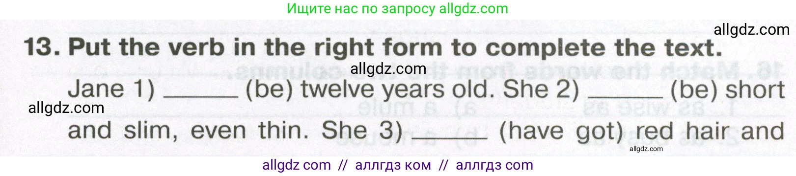 Английский язык (english), 5 класс Тренировочные упражнения в формате ОГЭ (ГИА), авторы: Ваулина Юлия Евгеньевна (Vaulina Julia), Подоляко Ольга Евгеньевна (Podolyako Olga), издательство Просвещение, Москва, 2023, оранжевого цвета, страница 45, номер 13, Условие