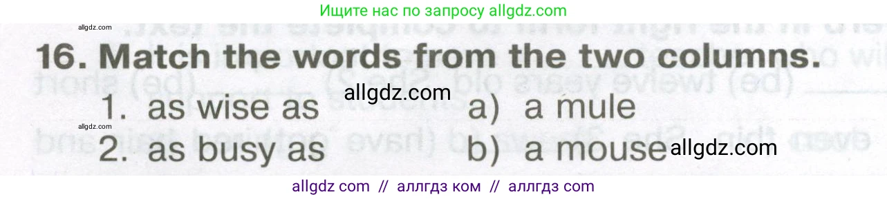 Английский язык (english), 5 класс Тренировочные упражнения в формате ОГЭ (ГИА), авторы: Ваулина Юлия Евгеньевна (Vaulina Julia), Подоляко Ольга Евгеньевна (Podolyako Olga), издательство Просвещение, Москва, 2023, оранжевого цвета, страница 46, номер 16, Условие