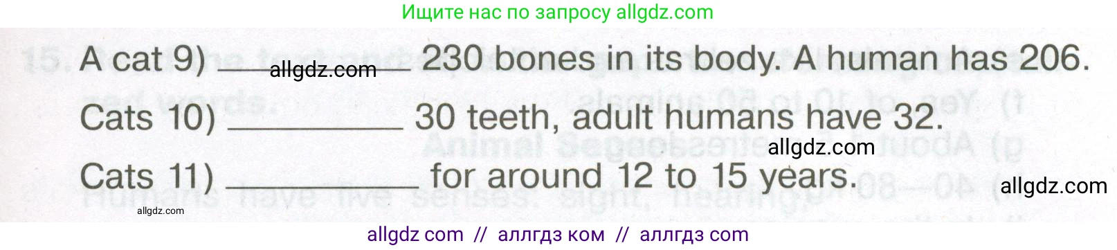 Английский язык (english), 5 класс Тренировочные упражнения в формате ОГЭ (ГИА), авторы: Ваулина Юлия Евгеньевна (Vaulina Julia), Подоляко Ольга Евгеньевна (Podolyako Olga), издательство Просвещение, Москва, 2023, оранжевого цвета, страница 58, номер 11, Условие (продолжение 2)