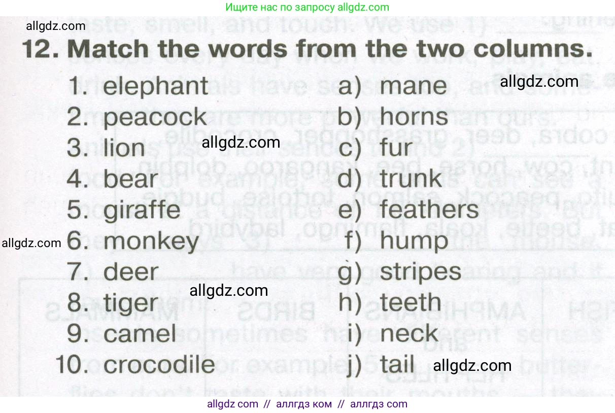 Английский язык (english), 5 класс Тренировочные упражнения в формате ОГЭ (ГИА), авторы: Ваулина Юлия Евгеньевна (Vaulina Julia), Подоляко Ольга Евгеньевна (Podolyako Olga), издательство Просвещение, Москва, 2023, оранжевого цвета, страница 59, номер 12, Условие