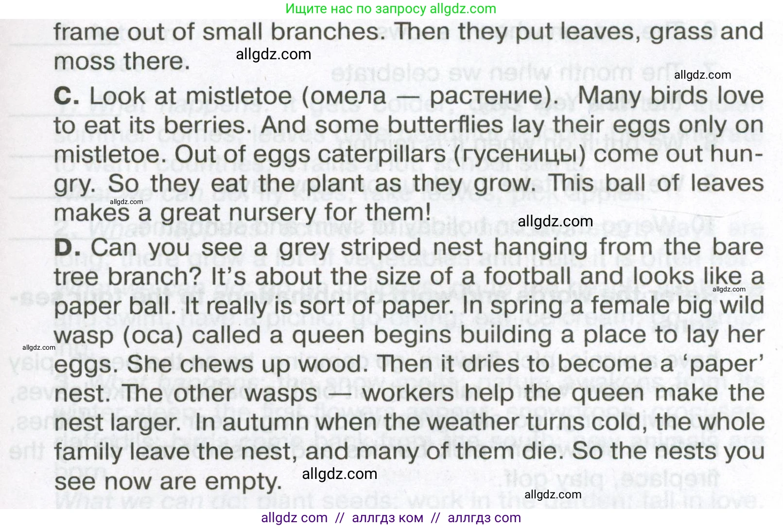 Английский язык (english), 5 класс Тренировочные упражнения в формате ОГЭ (ГИА), авторы: Ваулина Юлия Евгеньевна (Vaulina Julia), Подоляко Ольга Евгеньевна (Podolyako Olga), издательство Просвещение, Москва, 2023, оранжевого цвета, страница 80, номер 7, Условие (продолжение 2)