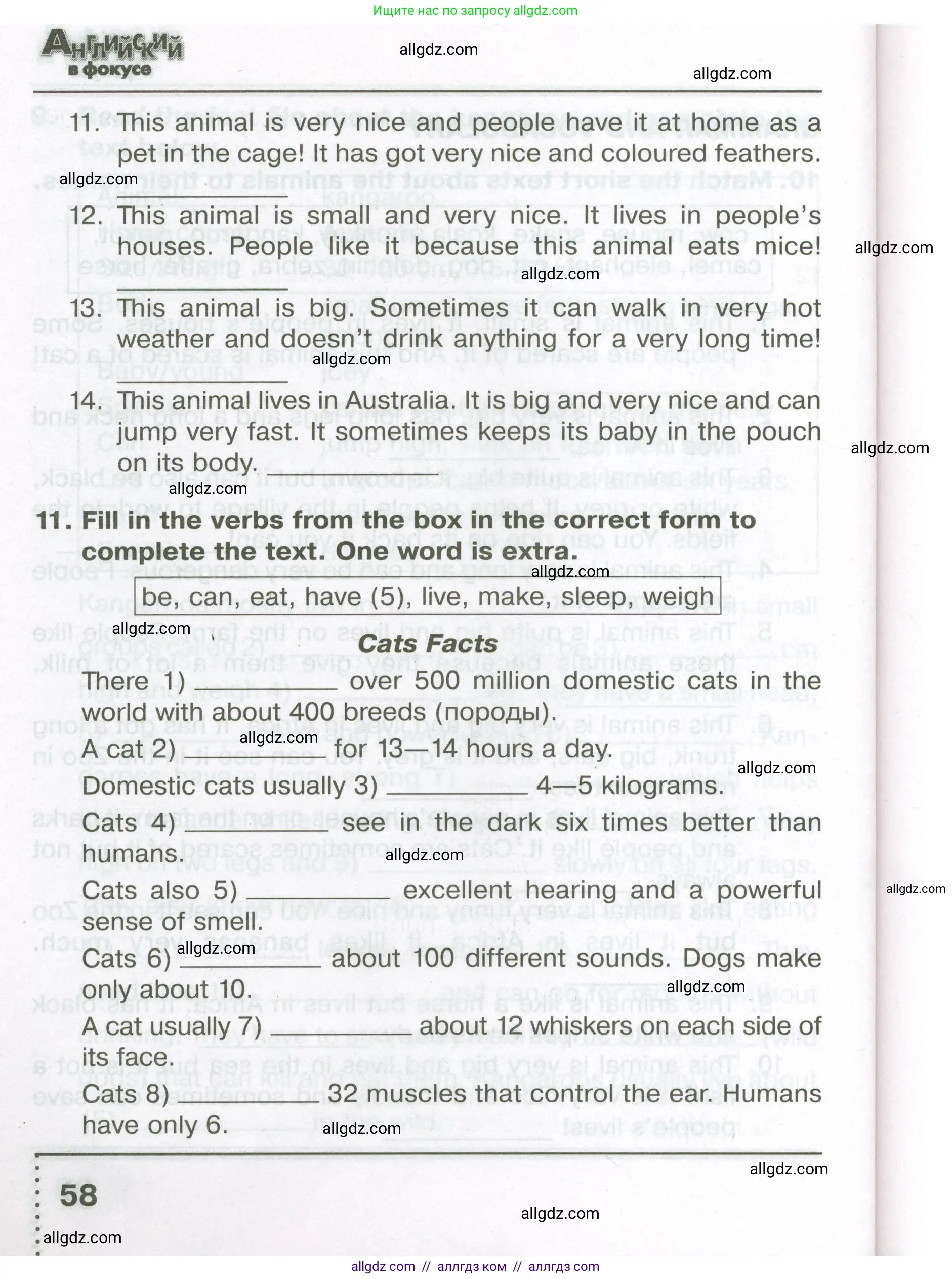 Английский язык (english), 5 класс Тренировочные упражнения в формате ОГЭ (ГИА), авторы: Ваулина Юлия Евгеньевна (Vaulina Julia), Подоляко Ольга Евгеньевна (Podolyako Olga), издательство Просвещение, Москва, 2023, оранжевого цвета, страница 58