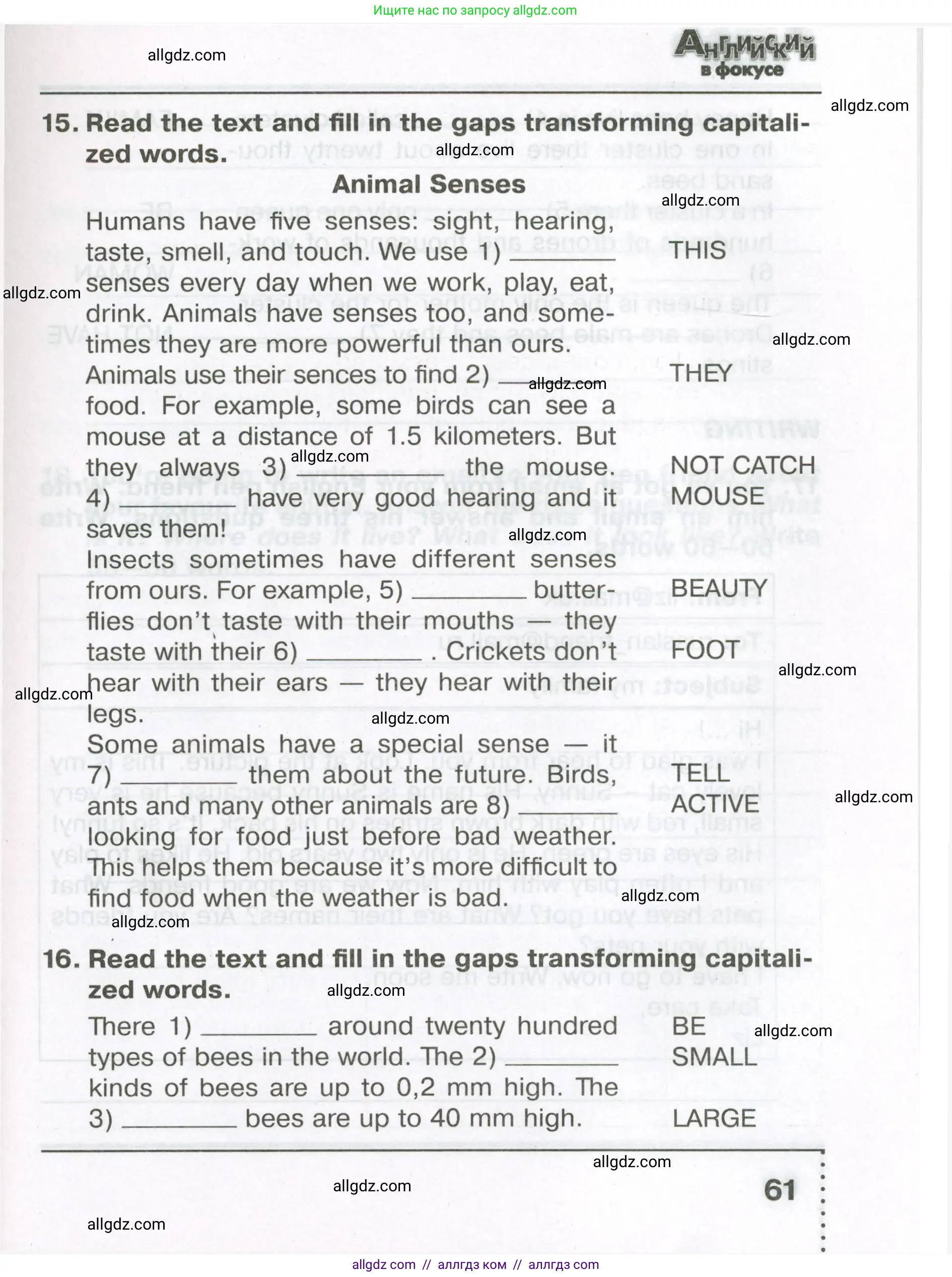 Английский язык (english), 5 класс Тренировочные упражнения в формате ОГЭ (ГИА), авторы: Ваулина Юлия Евгеньевна (Vaulina Julia), Подоляко Ольга Евгеньевна (Podolyako Olga), издательство Просвещение, Москва, 2023, оранжевого цвета, страница 61