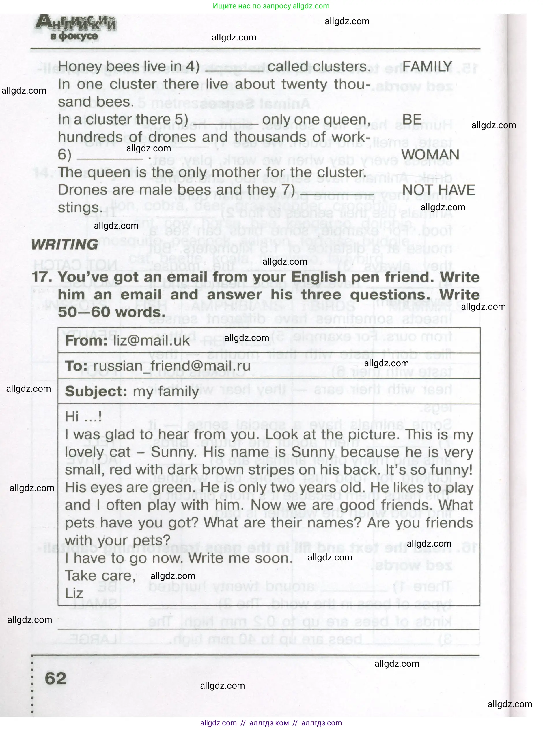 Английский язык (english), 5 класс Тренировочные упражнения в формате ОГЭ (ГИА), авторы: Ваулина Юлия Евгеньевна (Vaulina Julia), Подоляко Ольга Евгеньевна (Podolyako Olga), издательство Просвещение, Москва, 2023, оранжевого цвета, страница 62