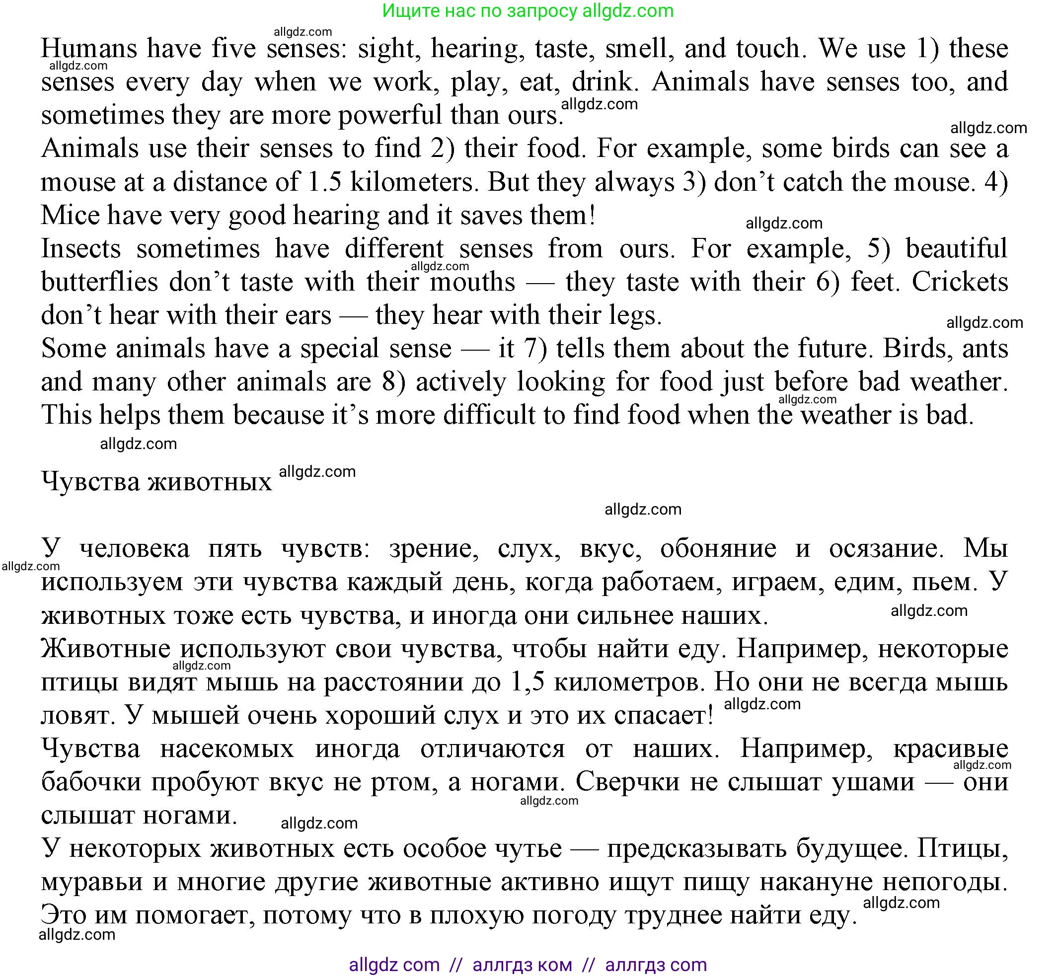 Английский язык (english), 5 класс Тренировочные упражнения в формате ОГЭ (ГИА), авторы: Ваулина Юлия Евгеньевна (Vaulina Julia), Подоляко Ольга Евгеньевна (Podolyako Olga), издательство Просвещение, Москва, 2023, оранжевого цвета, страница 61, номер 15, Решение 1 (продолжение 2)