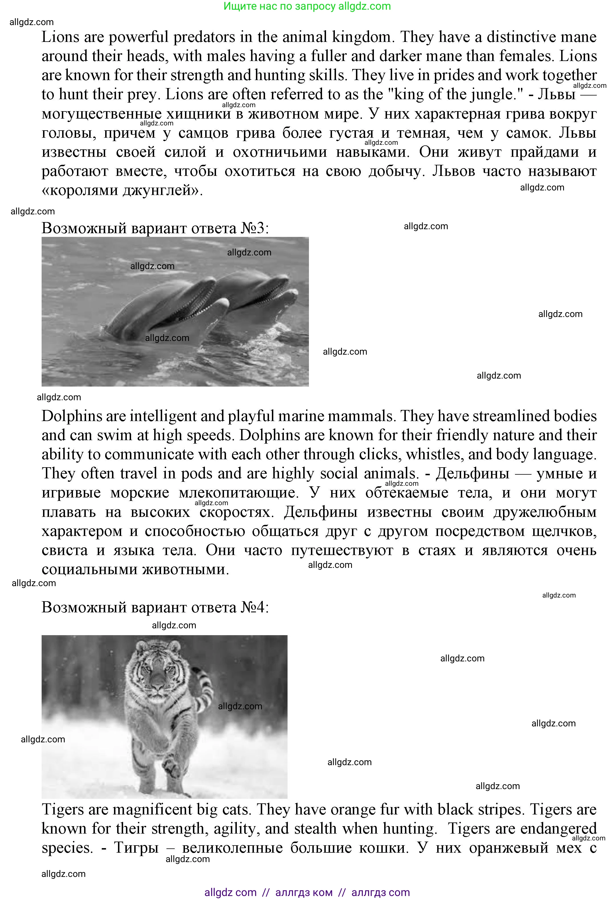 Английский язык (english), 5 класс Языковой портфель (my language portfolio), авторы: Ваулина Юлия Евгеньевна (Vaulina Julia), Дули Дженни (Dooley Jenny), Подоляко Ольга Евгеньевна (Podolyako Olga), Эванс Вирджиния (Evans Virginia), издательство Просвещение, Москва, 2011, серого цвета, страница 35, Решение (продолжение 2)