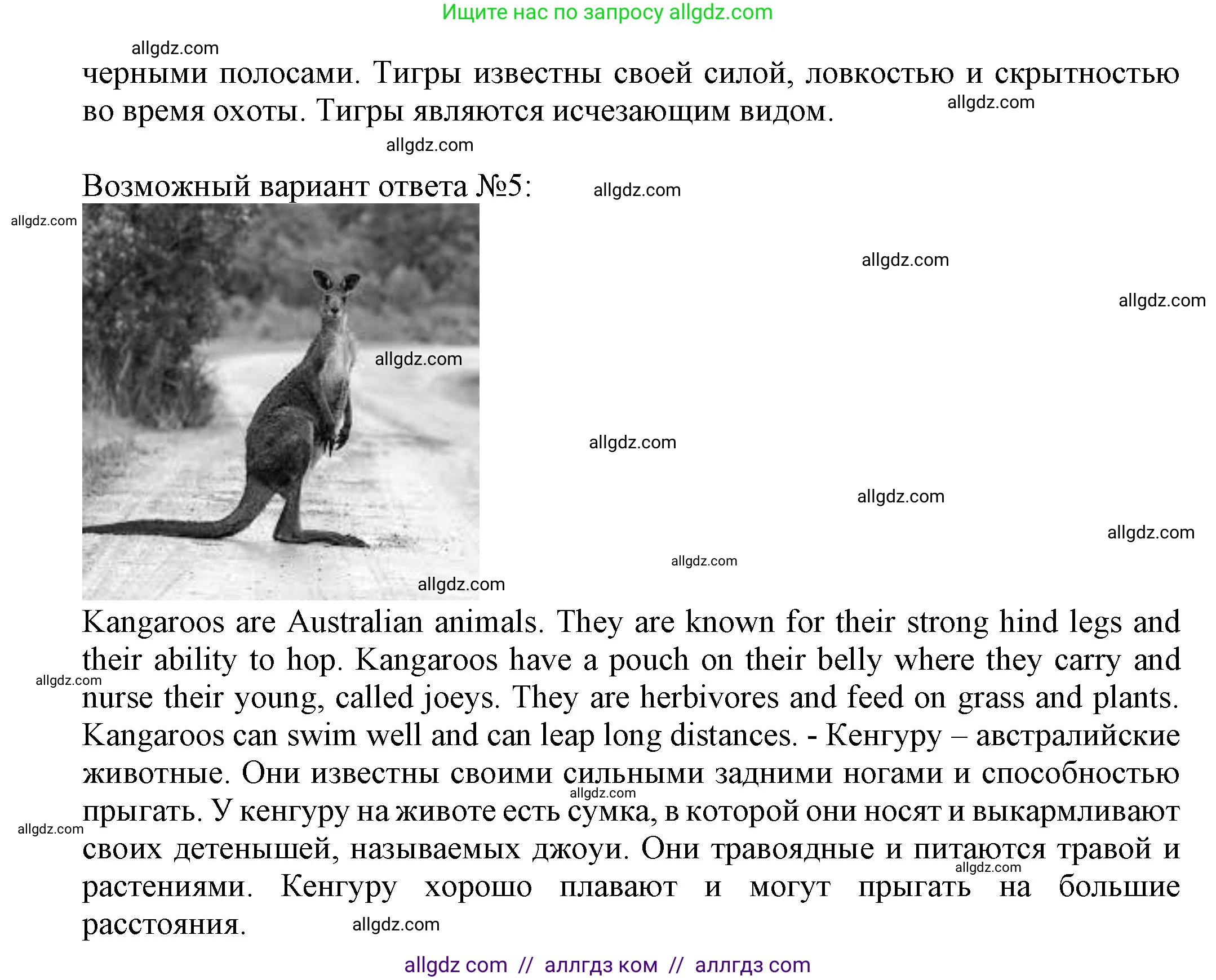 Английский язык (english), 5 класс Языковой портфель (my language portfolio), авторы: Ваулина Юлия Евгеньевна (Vaulina Julia), Дули Дженни (Dooley Jenny), Подоляко Ольга Евгеньевна (Podolyako Olga), Эванс Вирджиния (Evans Virginia), издательство Просвещение, Москва, 2011, серого цвета, страница 35, Решение (продолжение 3)