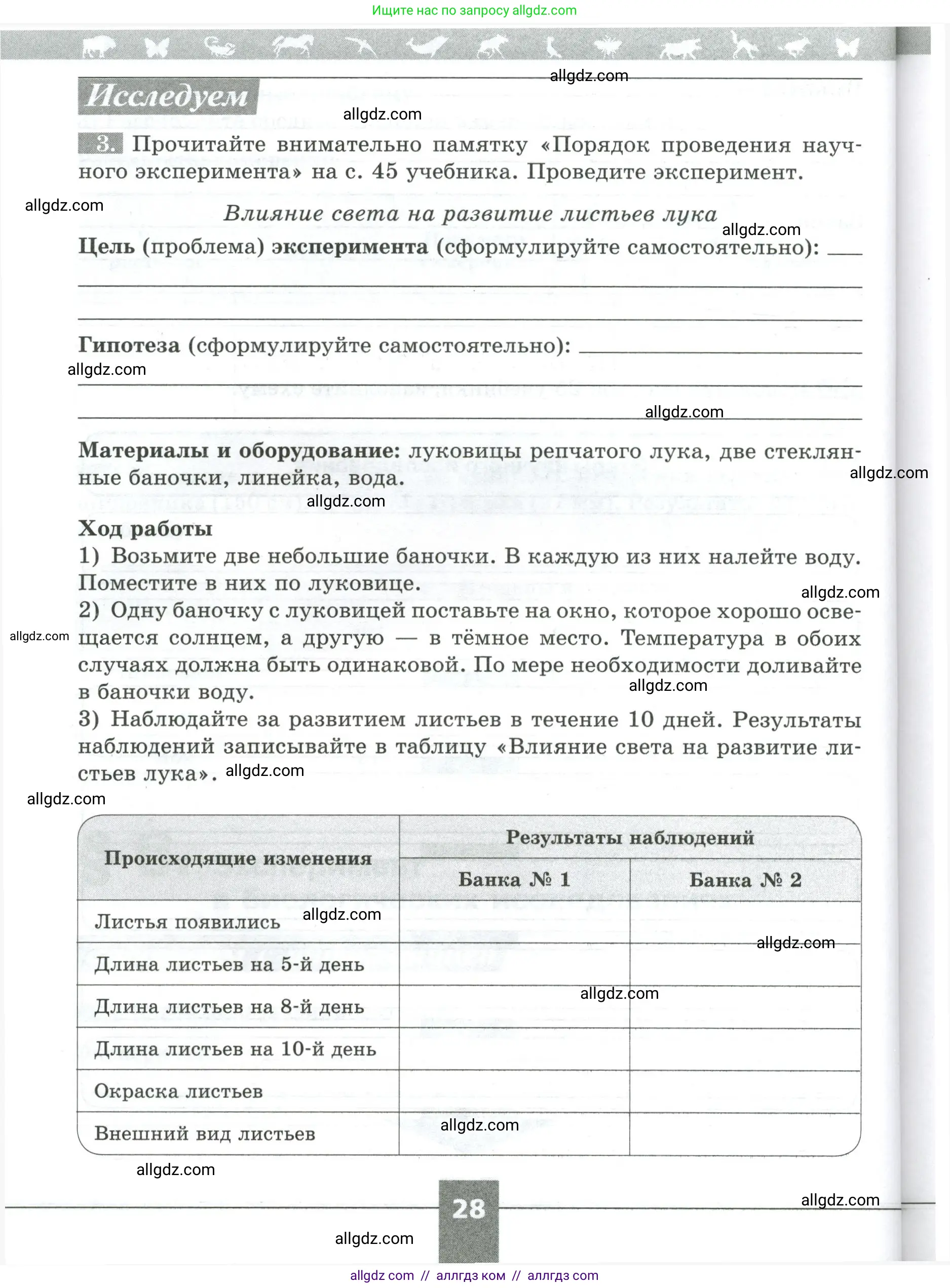 Биология, 5 класс рабочая тетрадь, авторы: Пасечник Владимир Васильевич, Суматохин Сергей Витальевич, Швецов Глеб Геннадьевич, Гапонюк Зоя Георгиевна, Косарькова Марина Викторовна, издательство Просвещение, Москва, 2023, оранжевого цвета, страница 28