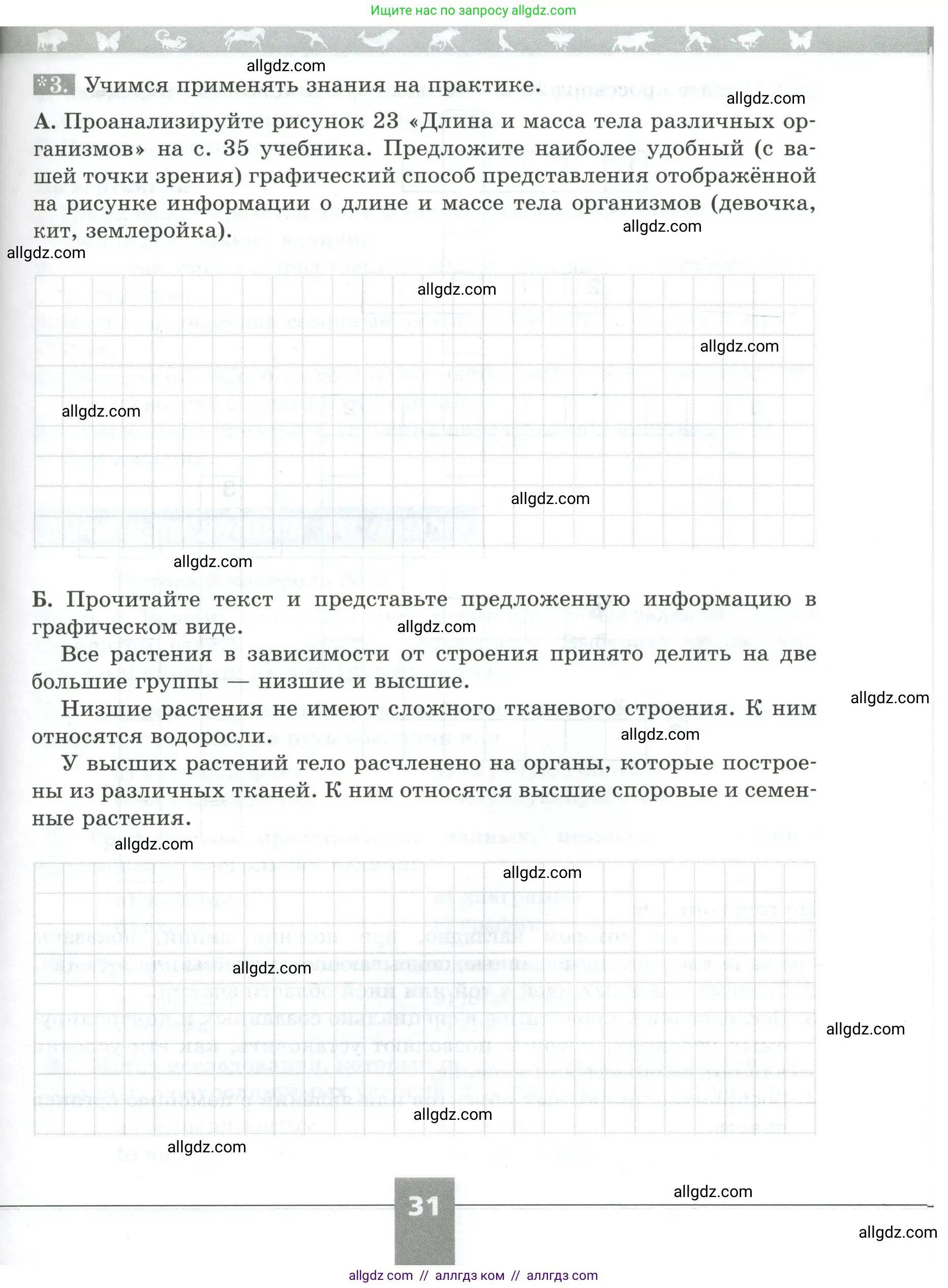 Биология, 5 класс рабочая тетрадь, авторы: Пасечник Владимир Васильевич, Суматохин Сергей Витальевич, Швецов Глеб Геннадьевич, Гапонюк Зоя Георгиевна, Косарькова Марина Викторовна, издательство Просвещение, Москва, 2023, оранжевого цвета, страница 31