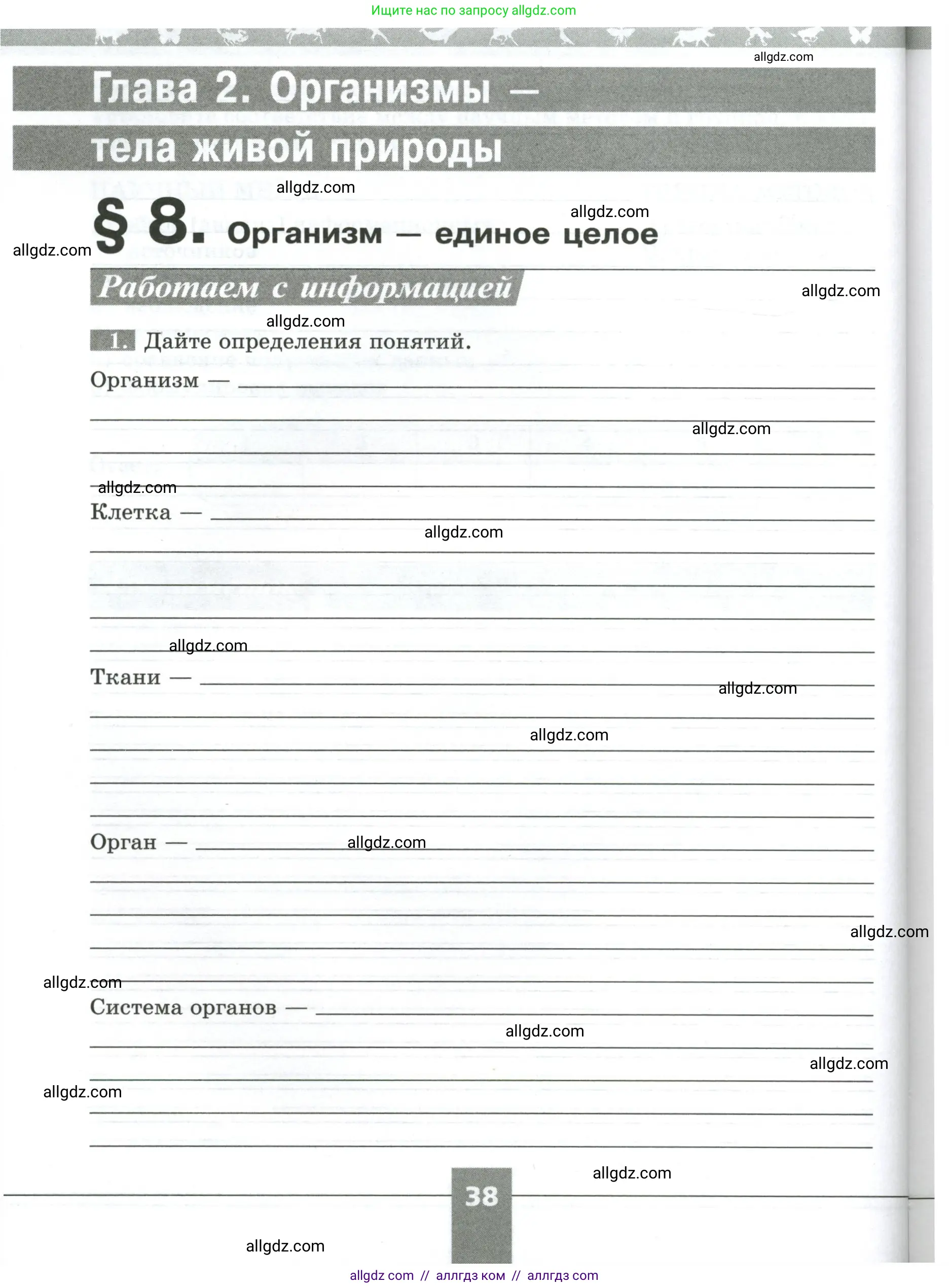 Биология, 5 класс рабочая тетрадь, авторы: Пасечник Владимир Васильевич, Суматохин Сергей Витальевич, Швецов Глеб Геннадьевич, Гапонюк Зоя Георгиевна, Косарькова Марина Викторовна, издательство Просвещение, Москва, 2023, оранжевого цвета, страница 38