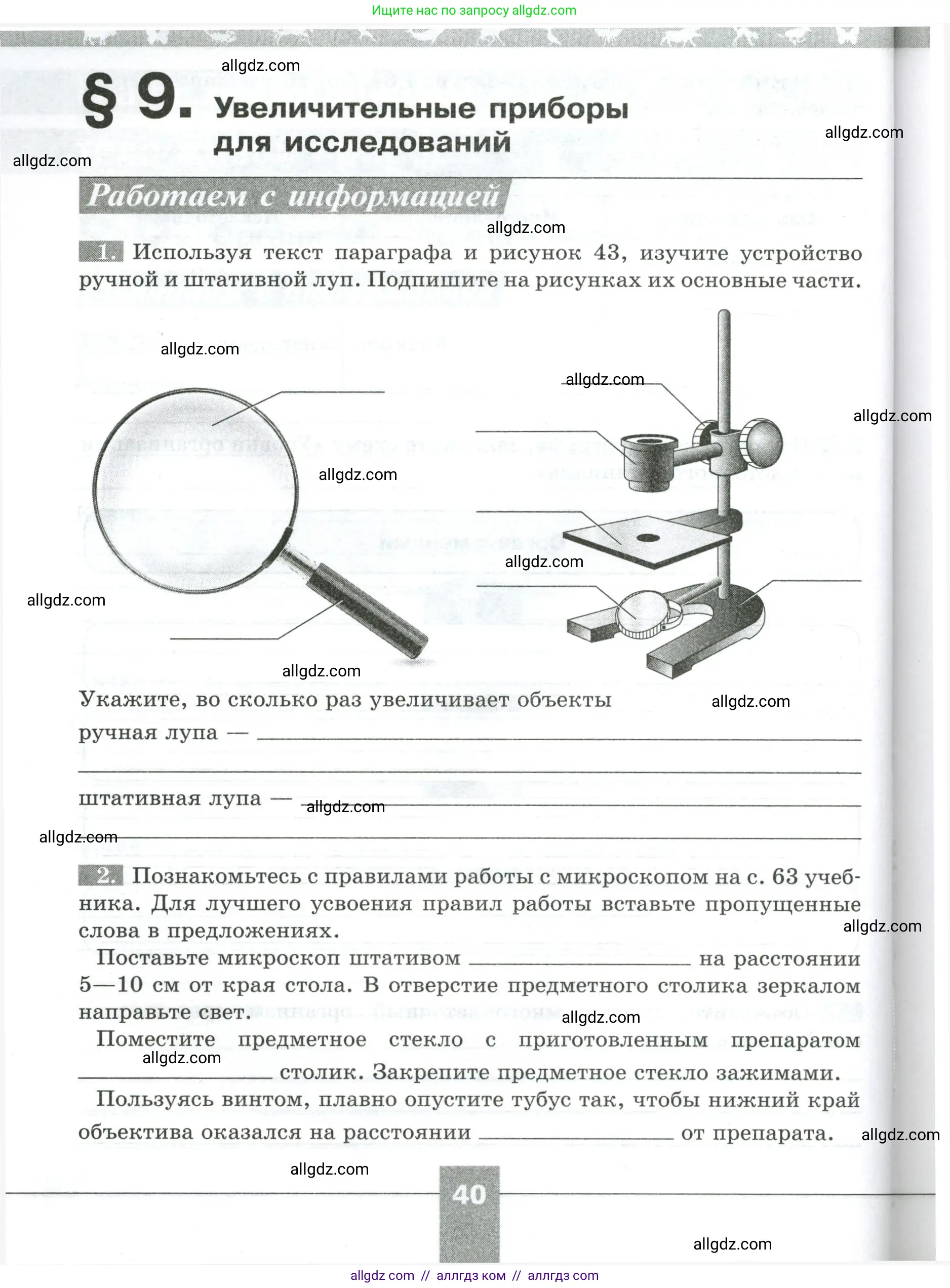 Биология, 5 класс рабочая тетрадь, авторы: Пасечник Владимир Васильевич, Суматохин Сергей Витальевич, Швецов Глеб Геннадьевич, Гапонюк Зоя Георгиевна, Косарькова Марина Викторовна, издательство Просвещение, Москва, 2023, оранжевого цвета, страница 40