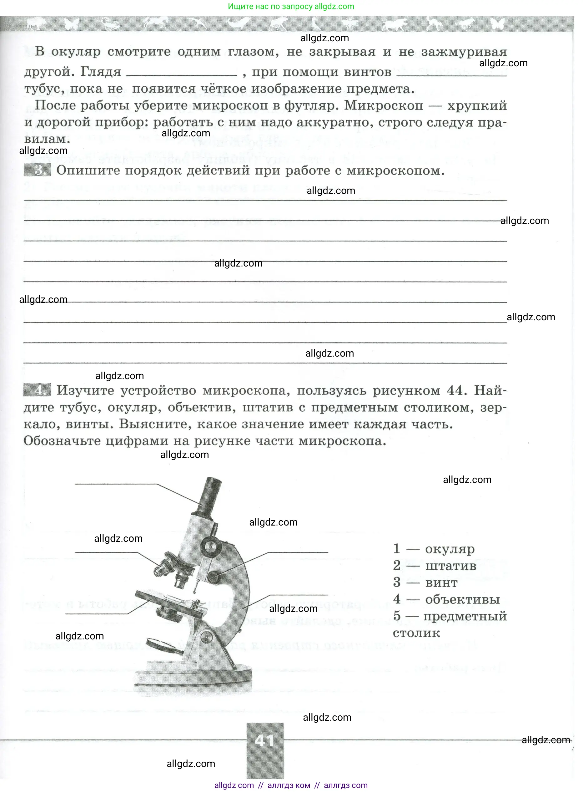 Биология, 5 класс рабочая тетрадь, авторы: Пасечник Владимир Васильевич, Суматохин Сергей Витальевич, Швецов Глеб Геннадьевич, Гапонюк Зоя Георгиевна, Косарькова Марина Викторовна, издательство Просвещение, Москва, 2023, оранжевого цвета, страница 41