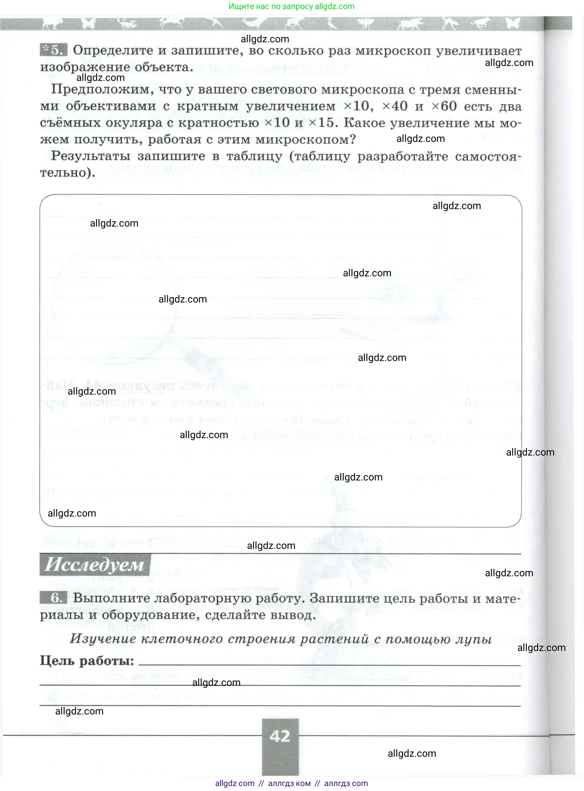 Биология, 5 класс рабочая тетрадь, авторы: Пасечник Владимир Васильевич, Суматохин Сергей Витальевич, Швецов Глеб Геннадьевич, Гапонюк Зоя Георгиевна, Косарькова Марина Викторовна, издательство Просвещение, Москва, 2023, оранжевого цвета, страница 42