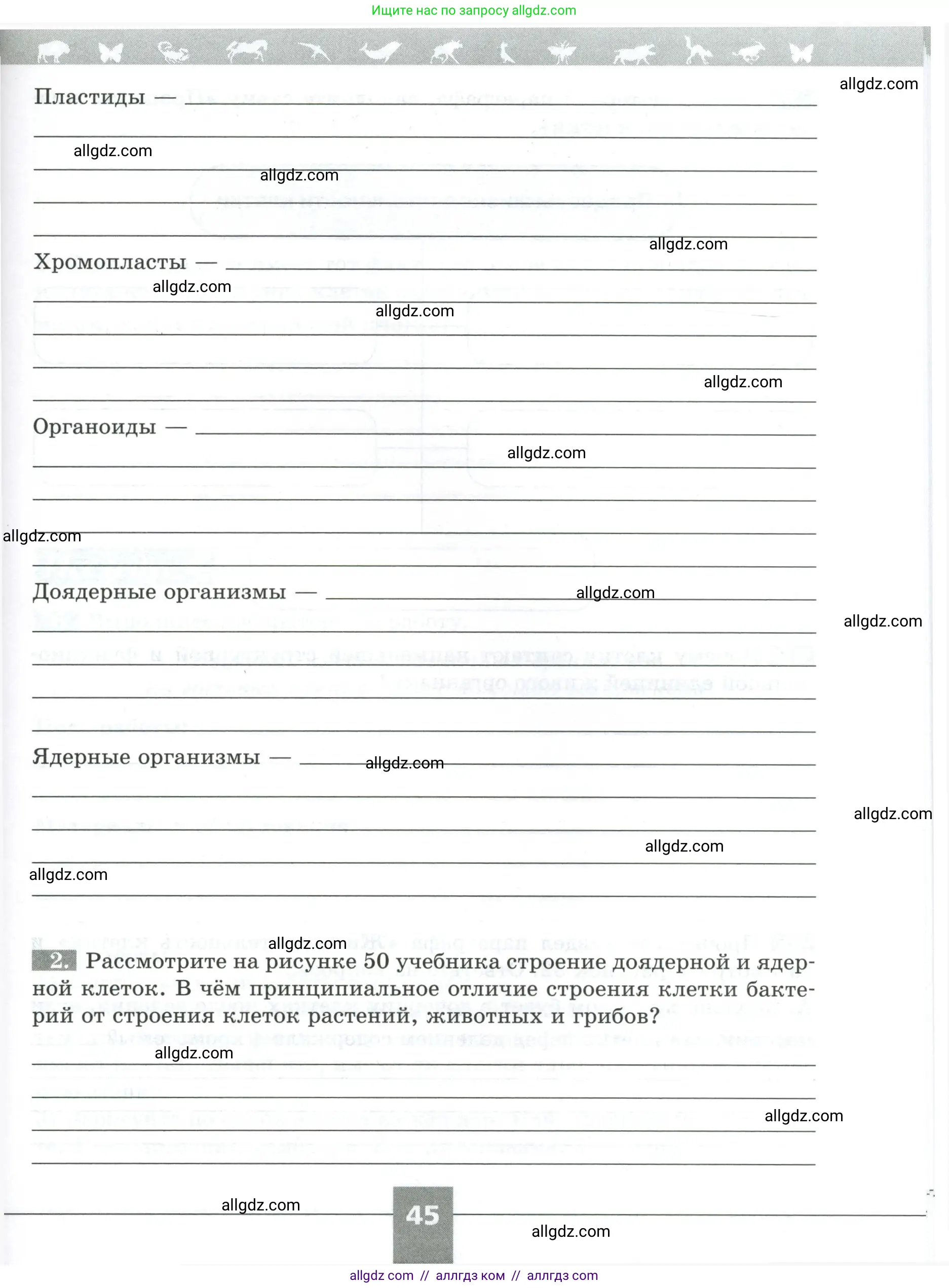Биология, 5 класс рабочая тетрадь, авторы: Пасечник Владимир Васильевич, Суматохин Сергей Витальевич, Швецов Глеб Геннадьевич, Гапонюк Зоя Георгиевна, Косарькова Марина Викторовна, издательство Просвещение, Москва, 2023, оранжевого цвета, страница 45