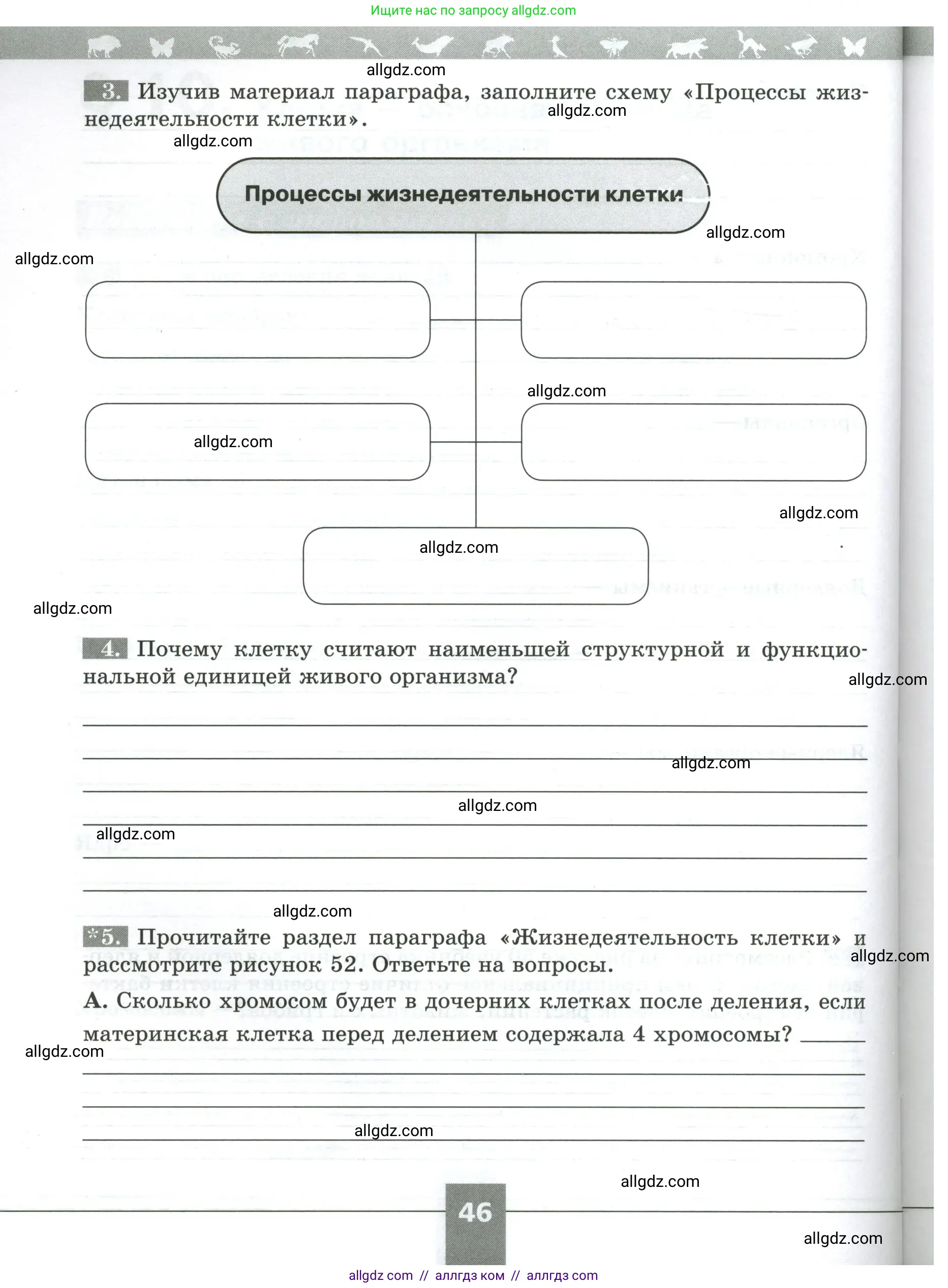 Биология, 5 класс рабочая тетрадь, авторы: Пасечник Владимир Васильевич, Суматохин Сергей Витальевич, Швецов Глеб Геннадьевич, Гапонюк Зоя Георгиевна, Косарькова Марина Викторовна, издательство Просвещение, Москва, 2023, оранжевого цвета, страница 46