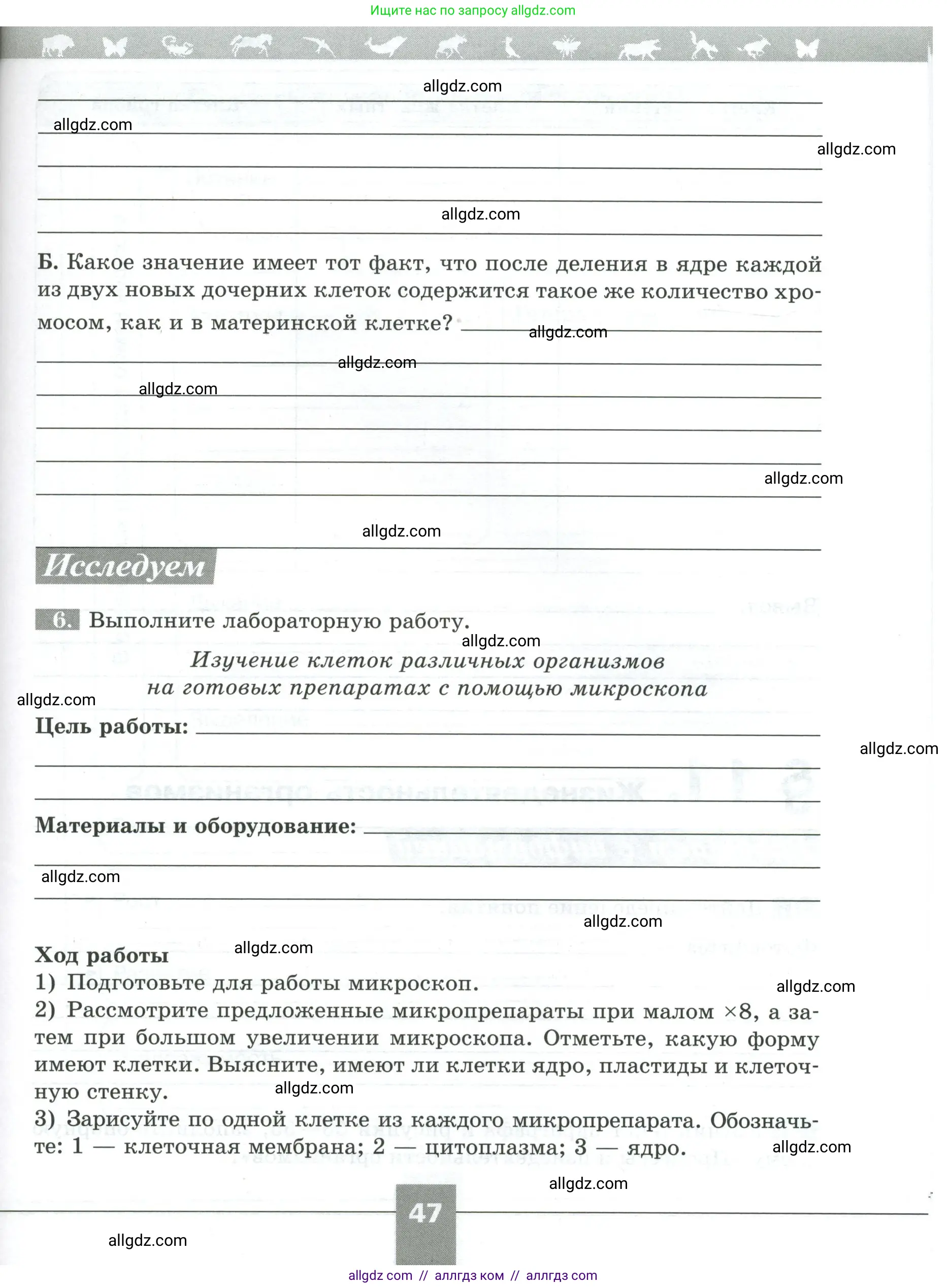 Биология, 5 класс рабочая тетрадь, авторы: Пасечник Владимир Васильевич, Суматохин Сергей Витальевич, Швецов Глеб Геннадьевич, Гапонюк Зоя Георгиевна, Косарькова Марина Викторовна, издательство Просвещение, Москва, 2023, оранжевого цвета, страница 47