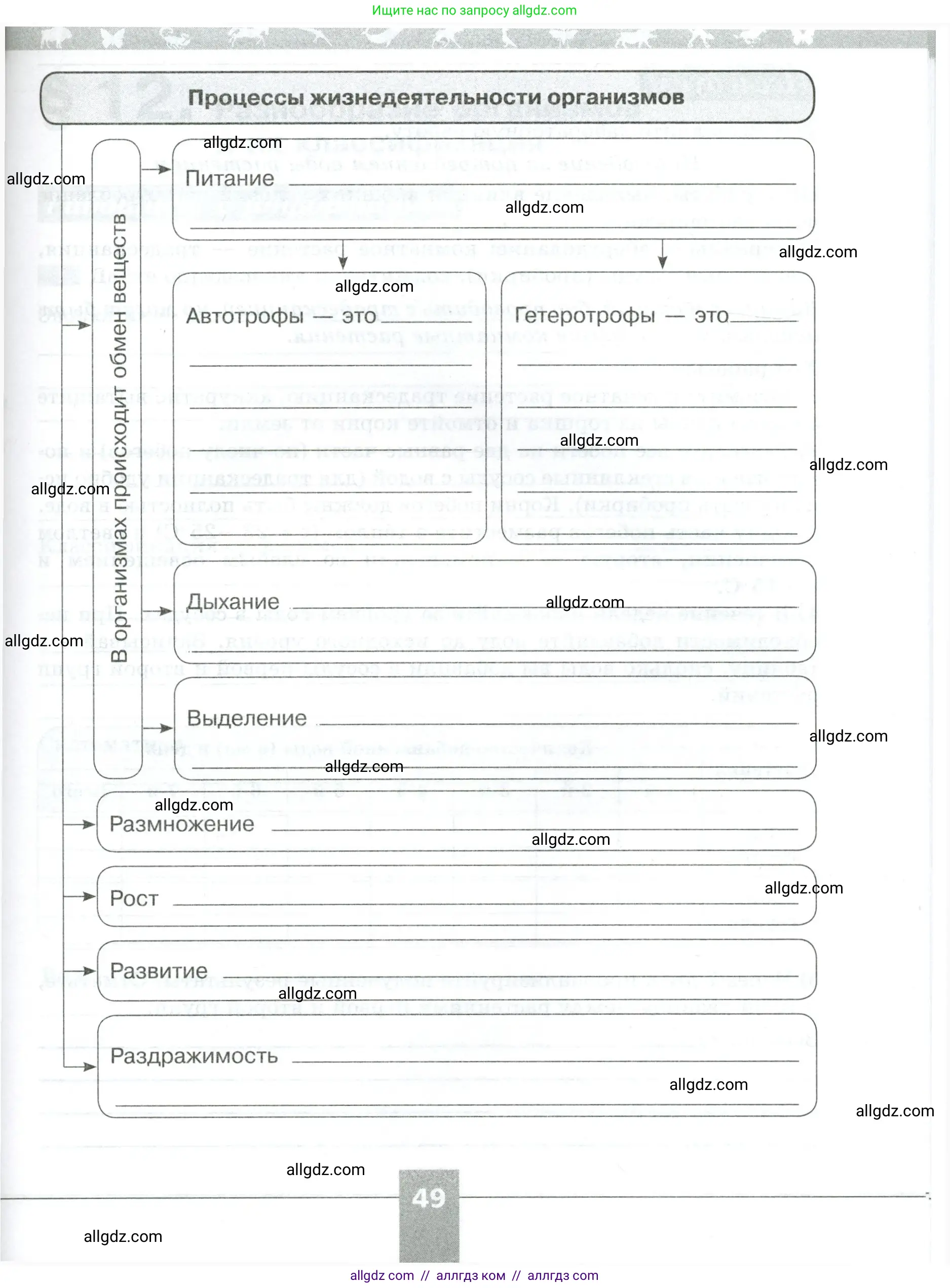 Биология, 5 класс рабочая тетрадь, авторы: Пасечник Владимир Васильевич, Суматохин Сергей Витальевич, Швецов Глеб Геннадьевич, Гапонюк Зоя Георгиевна, Косарькова Марина Викторовна, издательство Просвещение, Москва, 2023, оранжевого цвета, страница 49