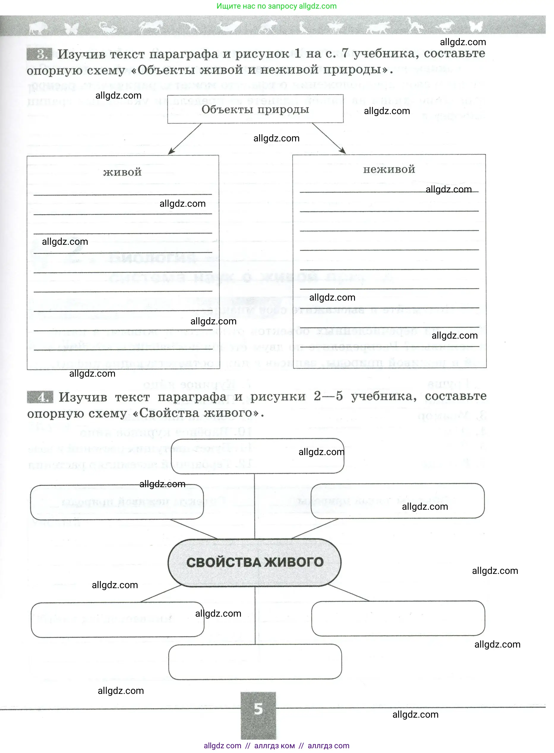 Биология, 5 класс рабочая тетрадь, авторы: Пасечник Владимир Васильевич, Суматохин Сергей Витальевич, Швецов Глеб Геннадьевич, Гапонюк Зоя Георгиевна, Косарькова Марина Викторовна, издательство Просвещение, Москва, 2023, оранжевого цвета, страница 6, номер 5, Условие