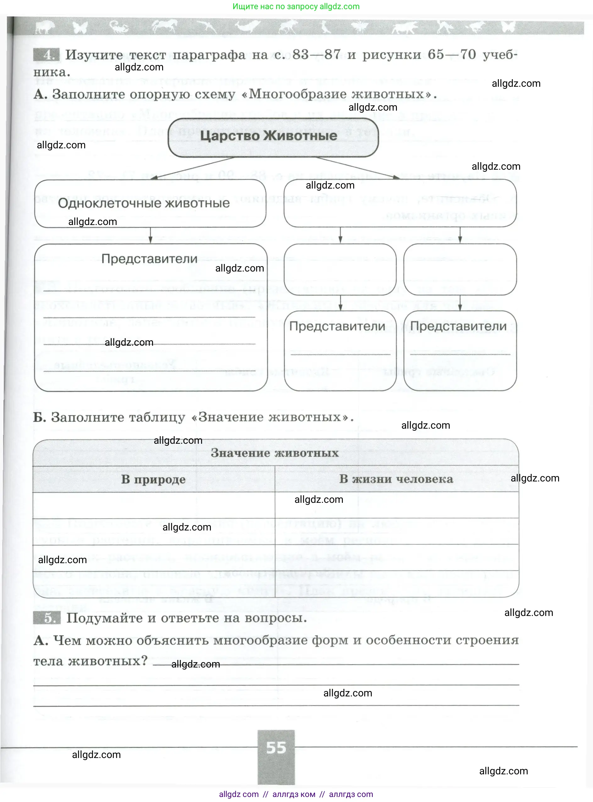 Биология, 5 класс рабочая тетрадь, авторы: Пасечник Владимир Васильевич, Суматохин Сергей Витальевич, Швецов Глеб Геннадьевич, Гапонюк Зоя Георгиевна, Косарькова Марина Викторовна, издательство Просвещение, Москва, 2023, оранжевого цвета, страница 55