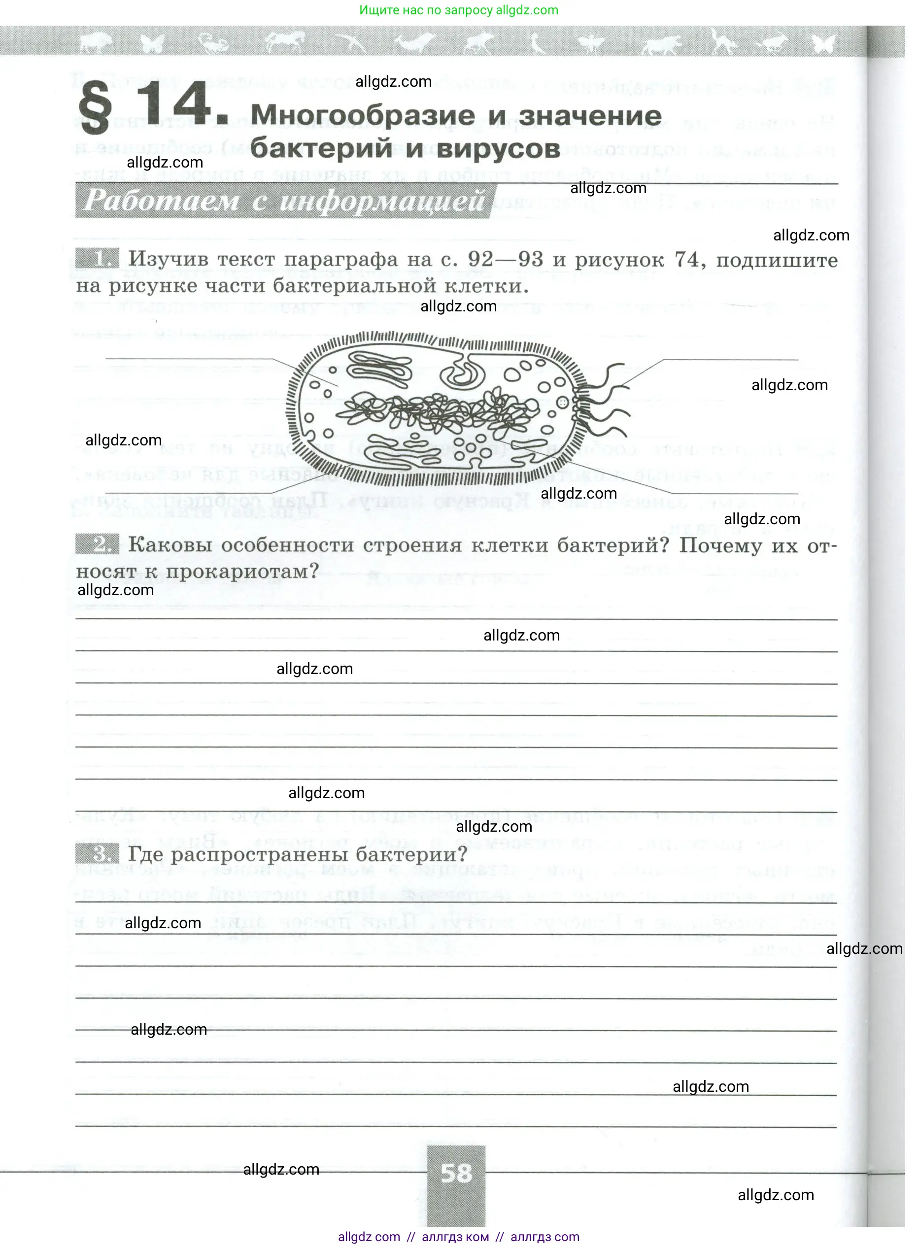 Биология, 5 класс рабочая тетрадь, авторы: Пасечник Владимир Васильевич, Суматохин Сергей Витальевич, Швецов Глеб Геннадьевич, Гапонюк Зоя Георгиевна, Косарькова Марина Викторовна, издательство Просвещение, Москва, 2023, оранжевого цвета, страница 58