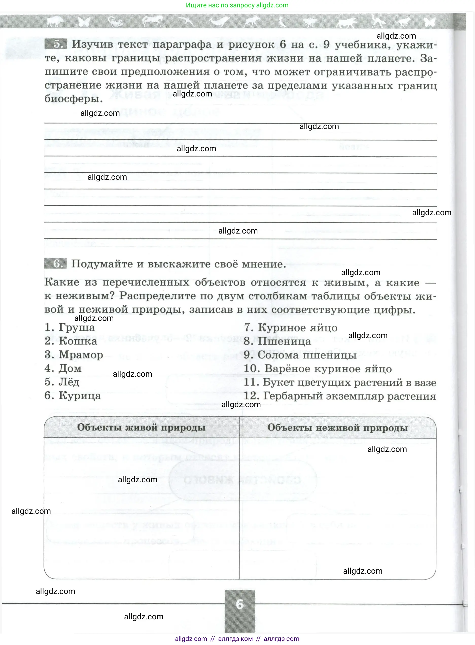 Биология, 5 класс рабочая тетрадь, авторы: Пасечник Владимир Васильевич, Суматохин Сергей Витальевич, Швецов Глеб Геннадьевич, Гапонюк Зоя Георгиевна, Косарькова Марина Викторовна, издательство Просвещение, Москва, 2023, оранжевого цвета, страница 6, номер 6, Условие