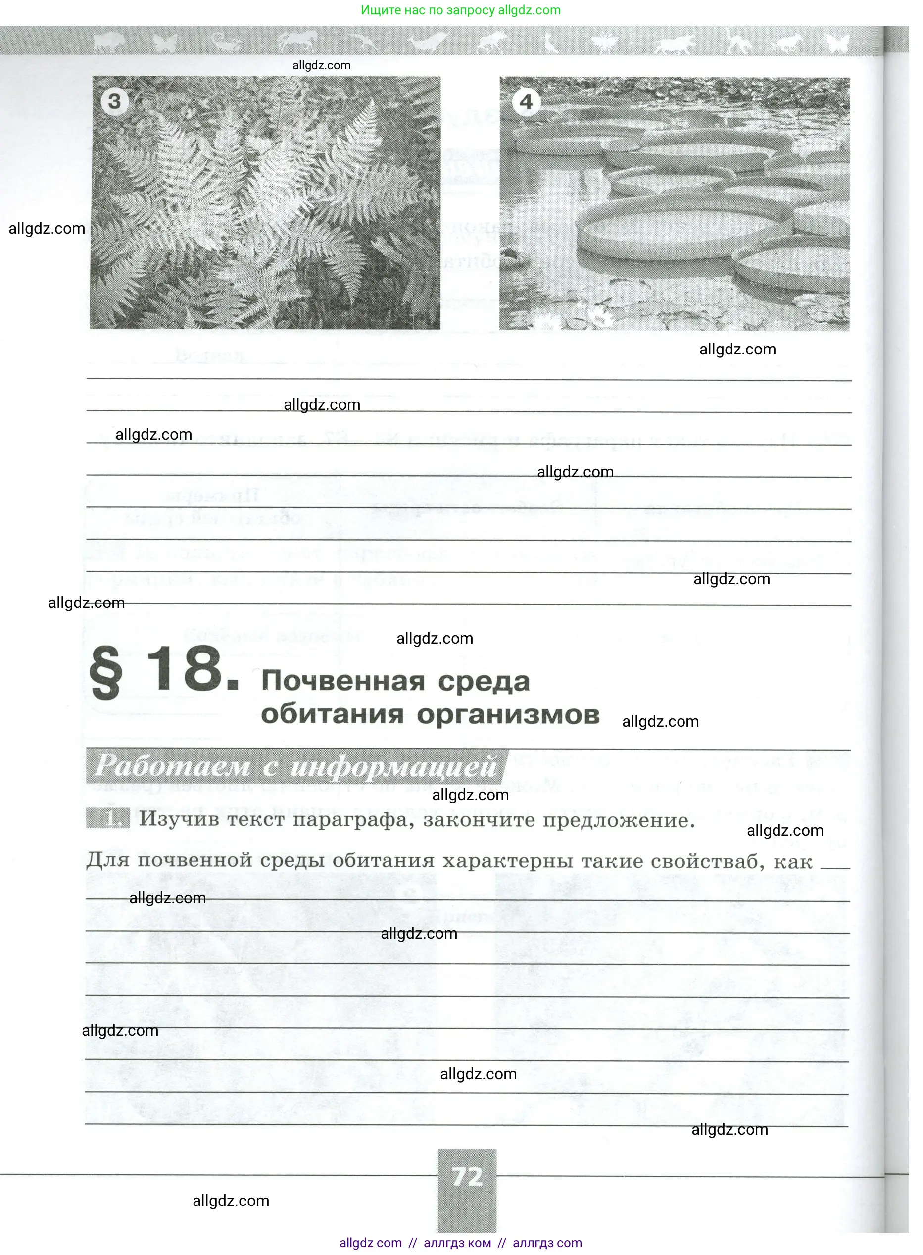 Биология, 5 класс рабочая тетрадь, авторы: Пасечник Владимир Васильевич, Суматохин Сергей Витальевич, Швецов Глеб Геннадьевич, Гапонюк Зоя Георгиевна, Косарькова Марина Викторовна, издательство Просвещение, Москва, 2023, оранжевого цвета, страница 72