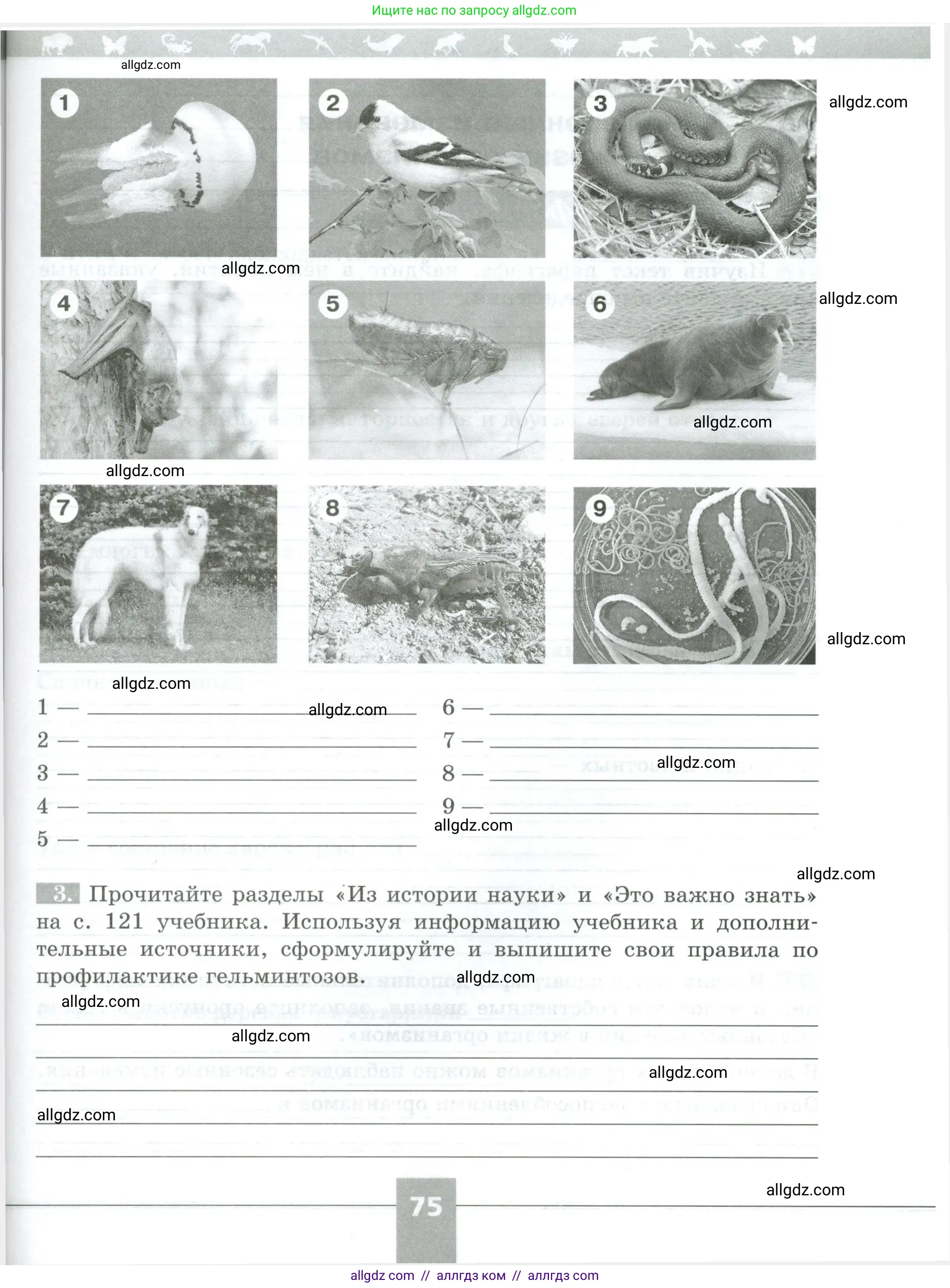 Биология, 5 класс рабочая тетрадь, авторы: Пасечник Владимир Васильевич, Суматохин Сергей Витальевич, Швецов Глеб Геннадьевич, Гапонюк Зоя Георгиевна, Косарькова Марина Викторовна, издательство Просвещение, Москва, 2023, оранжевого цвета, страница 75
