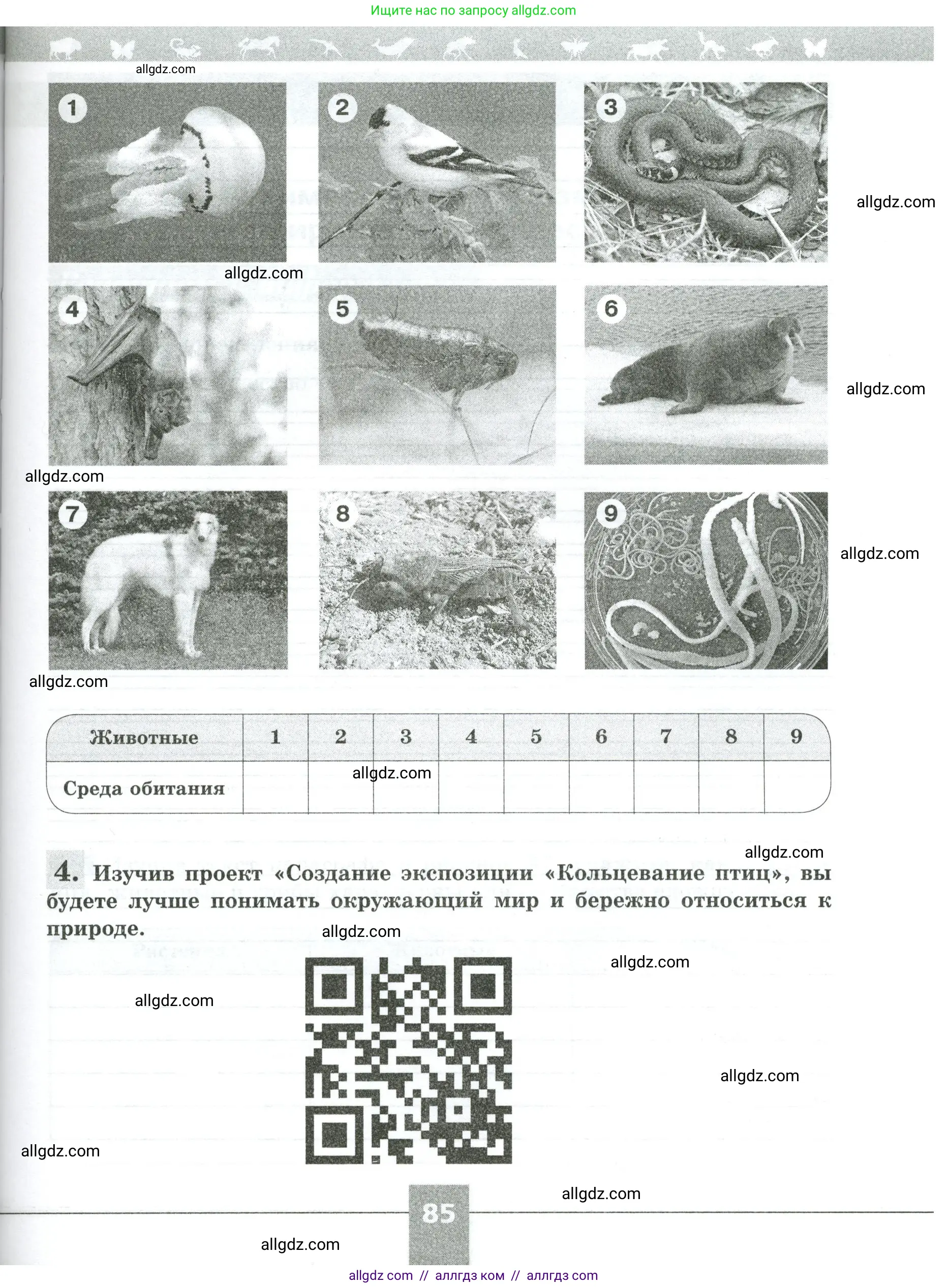 Биология, 5 класс рабочая тетрадь, авторы: Пасечник Владимир Васильевич, Суматохин Сергей Витальевич, Швецов Глеб Геннадьевич, Гапонюк Зоя Георгиевна, Косарькова Марина Викторовна, издательство Просвещение, Москва, 2023, оранжевого цвета, страница 85
