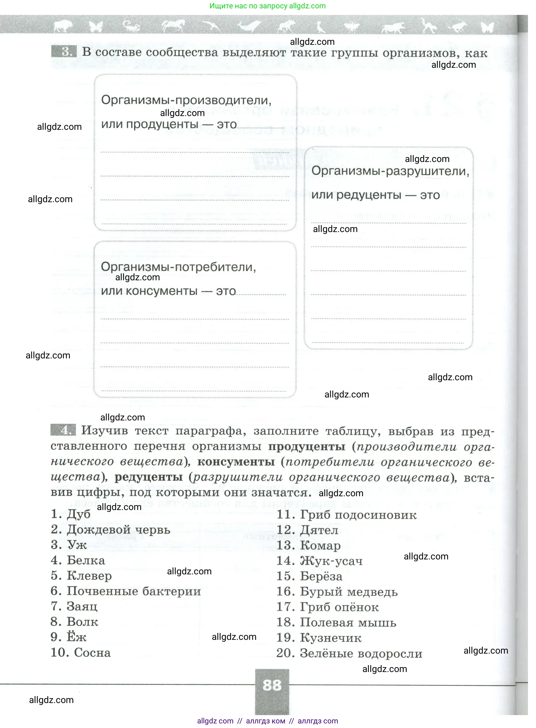 Биология, 5 класс рабочая тетрадь, авторы: Пасечник Владимир Васильевич, Суматохин Сергей Витальевич, Швецов Глеб Геннадьевич, Гапонюк Зоя Георгиевна, Косарькова Марина Викторовна, издательство Просвещение, Москва, 2023, оранжевого цвета, страница 88