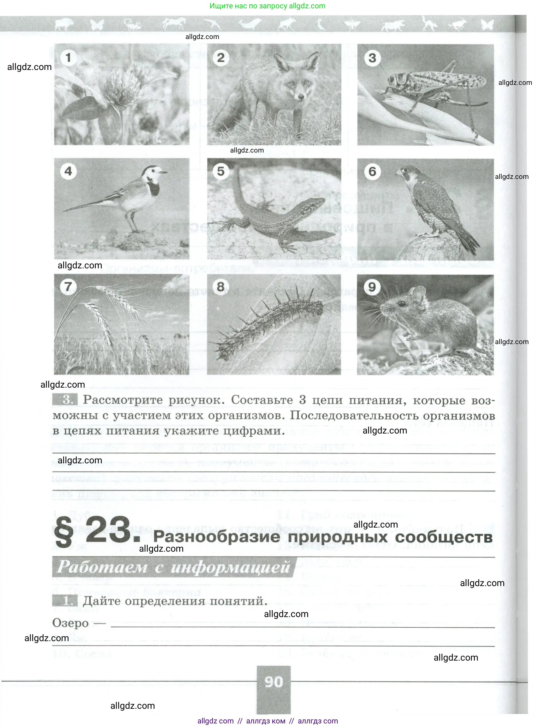 Биология, 5 класс рабочая тетрадь, авторы: Пасечник Владимир Васильевич, Суматохин Сергей Витальевич, Швецов Глеб Геннадьевич, Гапонюк Зоя Георгиевна, Косарькова Марина Викторовна, издательство Просвещение, Москва, 2023, оранжевого цвета, страница 90