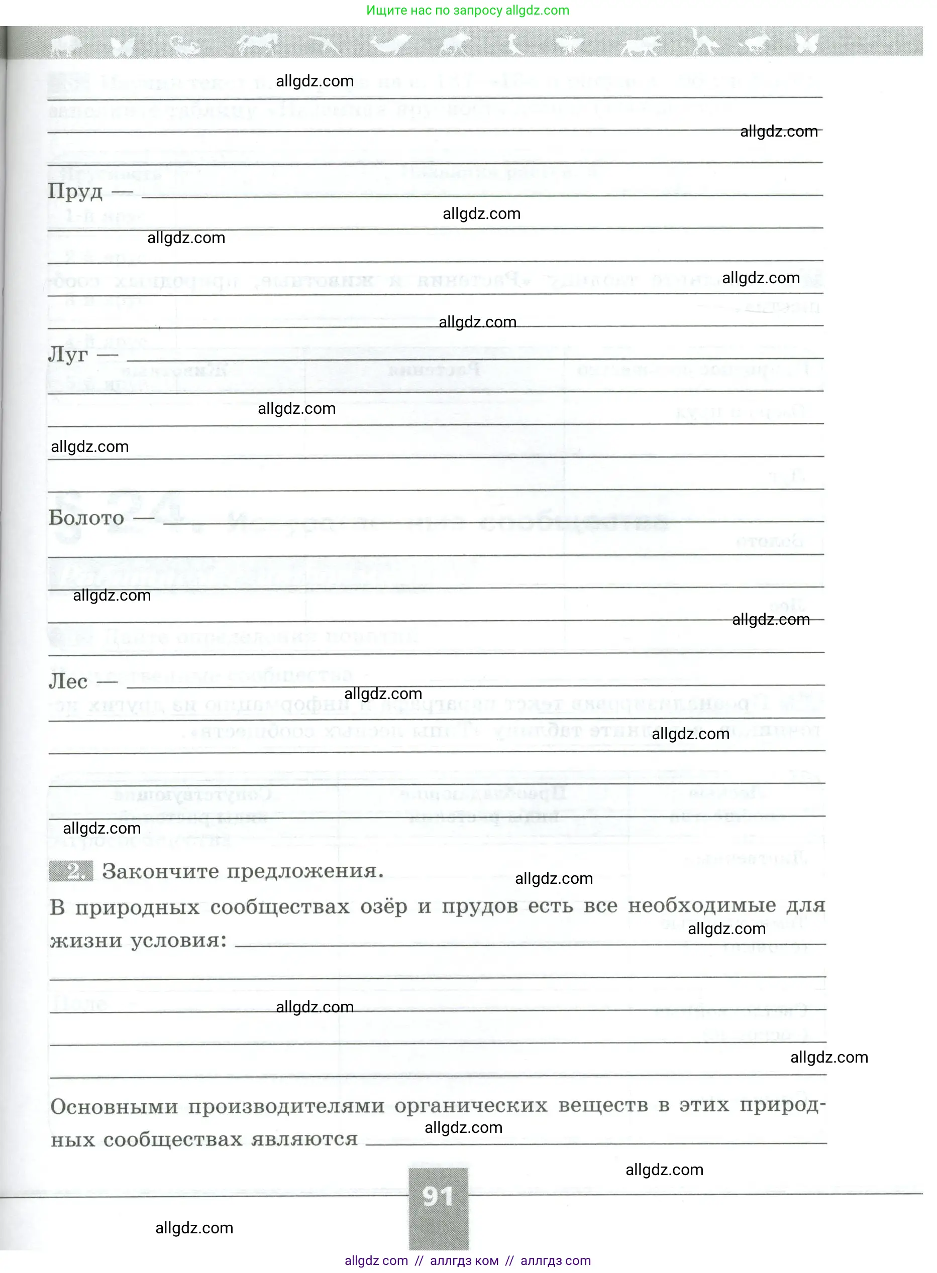 Биология, 5 класс рабочая тетрадь, авторы: Пасечник Владимир Васильевич, Суматохин Сергей Витальевич, Швецов Глеб Геннадьевич, Гапонюк Зоя Георгиевна, Косарькова Марина Викторовна, издательство Просвещение, Москва, 2023, оранжевого цвета, страница 91