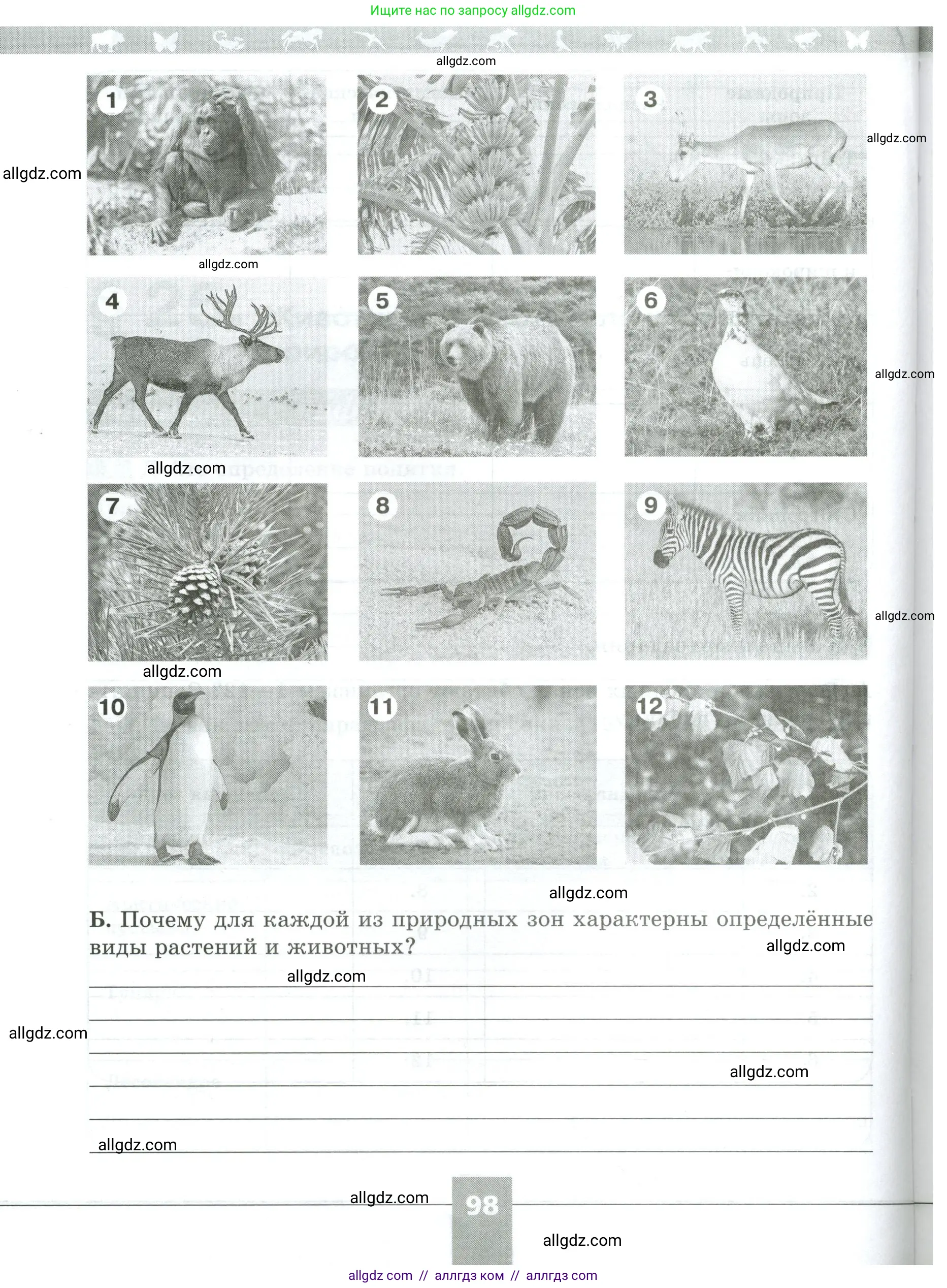 Биология, 5 класс рабочая тетрадь, авторы: Пасечник Владимир Васильевич, Суматохин Сергей Витальевич, Швецов Глеб Геннадьевич, Гапонюк Зоя Георгиевна, Косарькова Марина Викторовна, издательство Просвещение, Москва, 2023, оранжевого цвета, страница 98