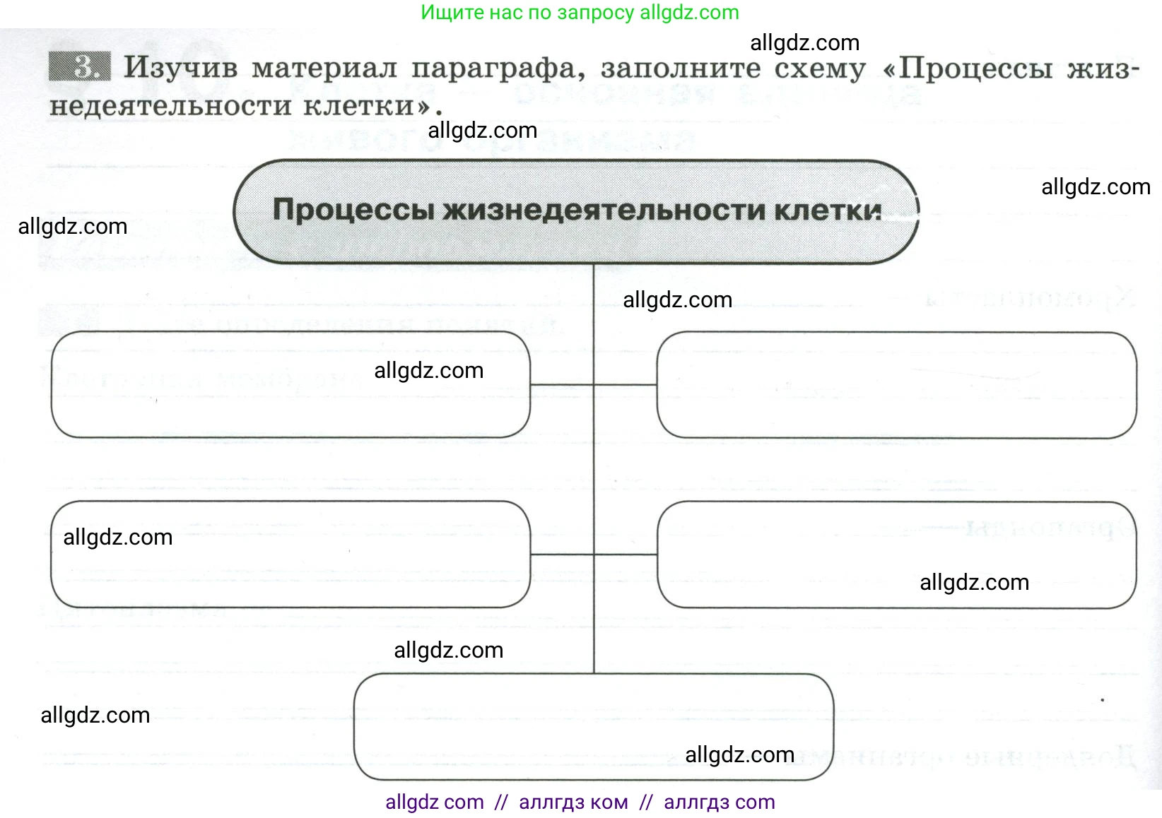 Биология, 5 класс рабочая тетрадь, авторы: Пасечник Владимир Васильевич, Суматохин Сергей Витальевич, Швецов Глеб Геннадьевич, Гапонюк Зоя Георгиевна, Косарькова Марина Викторовна, издательство Просвещение, Москва, 2023, оранжевого цвета, страница 46, номер 3, Условие
