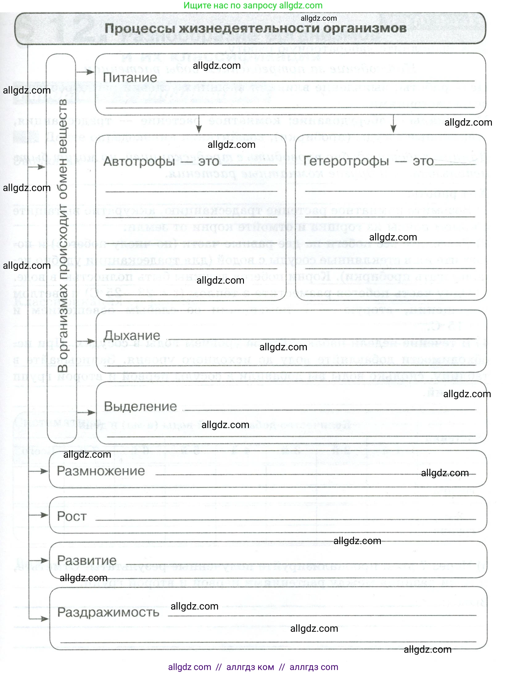 Биология, 5 класс рабочая тетрадь, авторы: Пасечник Владимир Васильевич, Суматохин Сергей Витальевич, Швецов Глеб Геннадьевич, Гапонюк Зоя Георгиевна, Косарькова Марина Викторовна, издательство Просвещение, Москва, 2023, оранжевого цвета, страница 49, номер 2, Условие (продолжение 2)