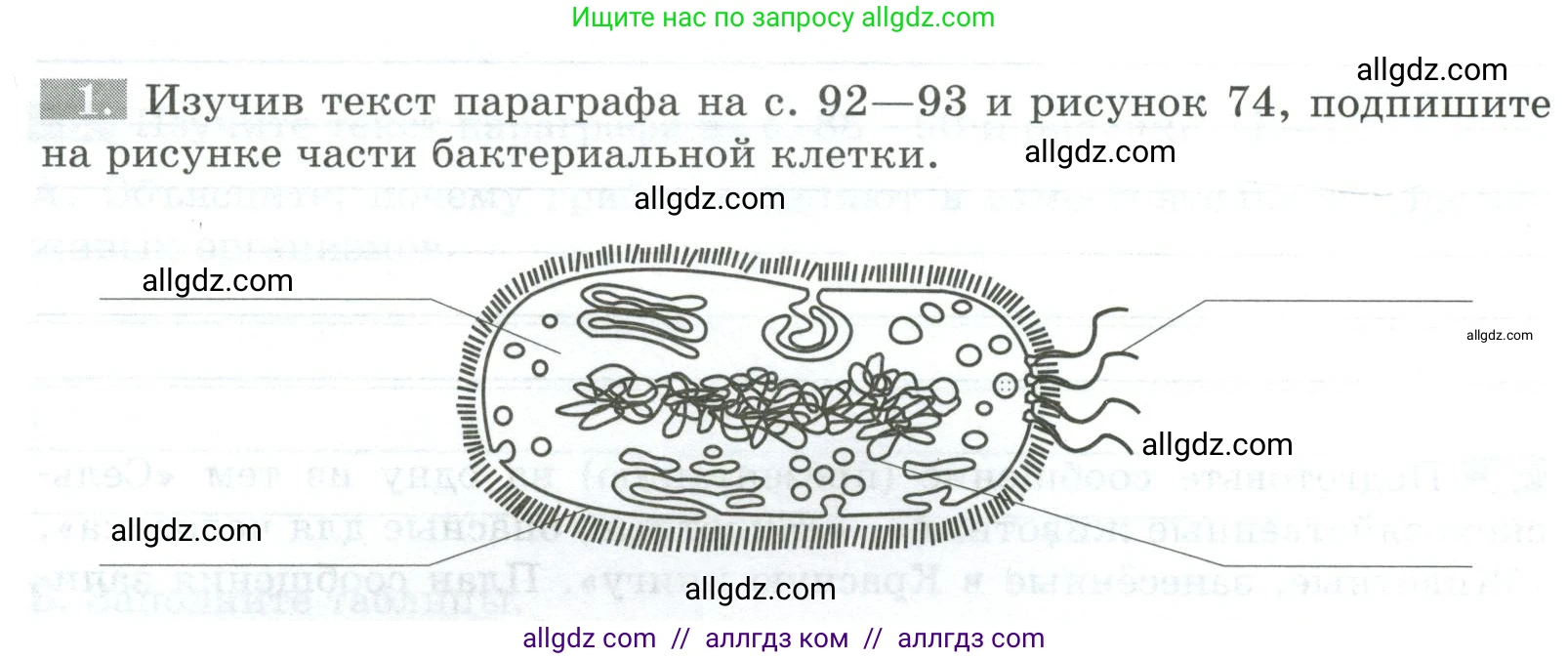 Биология, 5 класс рабочая тетрадь, авторы: Пасечник Владимир Васильевич, Суматохин Сергей Витальевич, Швецов Глеб Геннадьевич, Гапонюк Зоя Георгиевна, Косарькова Марина Викторовна, издательство Просвещение, Москва, 2023, оранжевого цвета, страница 58, номер 1, Условие