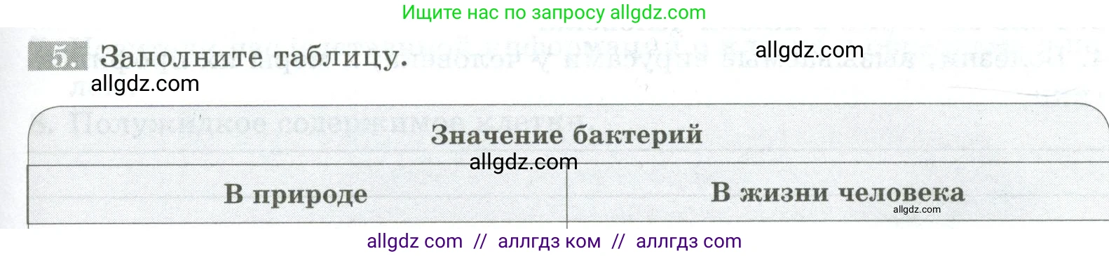 Биология, 5 класс рабочая тетрадь, авторы: Пасечник Владимир Васильевич, Суматохин Сергей Витальевич, Швецов Глеб Геннадьевич, Гапонюк Зоя Георгиевна, Косарькова Марина Викторовна, издательство Просвещение, Москва, 2023, оранжевого цвета, страница 59, номер 5, Условие