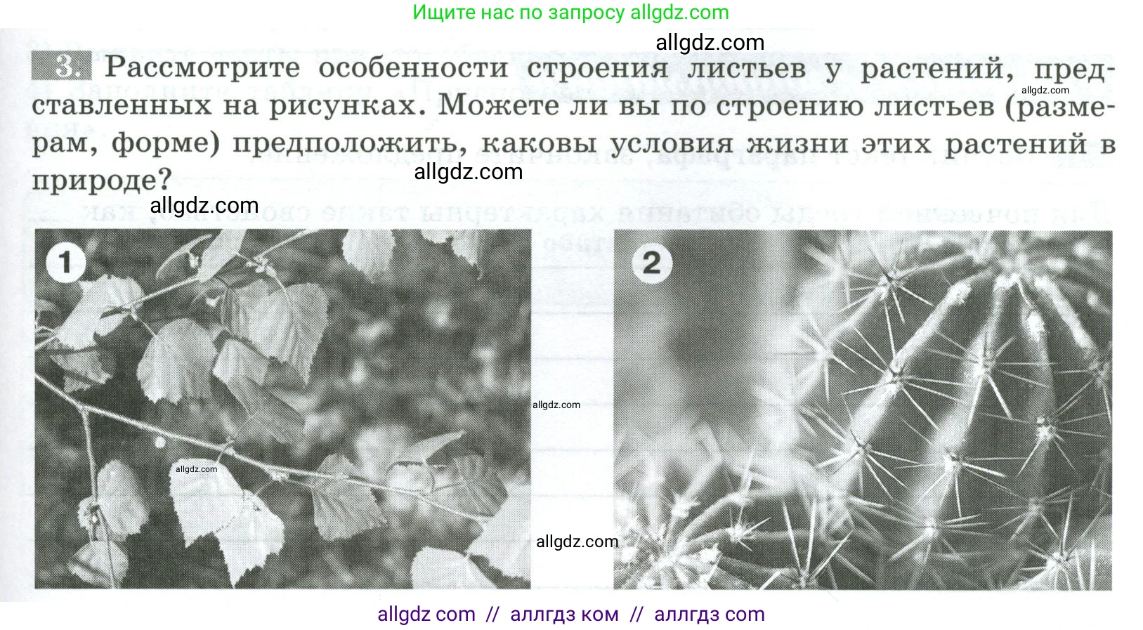 Биология, 5 класс рабочая тетрадь, авторы: Пасечник Владимир Васильевич, Суматохин Сергей Витальевич, Швецов Глеб Геннадьевич, Гапонюк Зоя Георгиевна, Косарькова Марина Викторовна, издательство Просвещение, Москва, 2023, оранжевого цвета, страница 71, номер 3, Условие