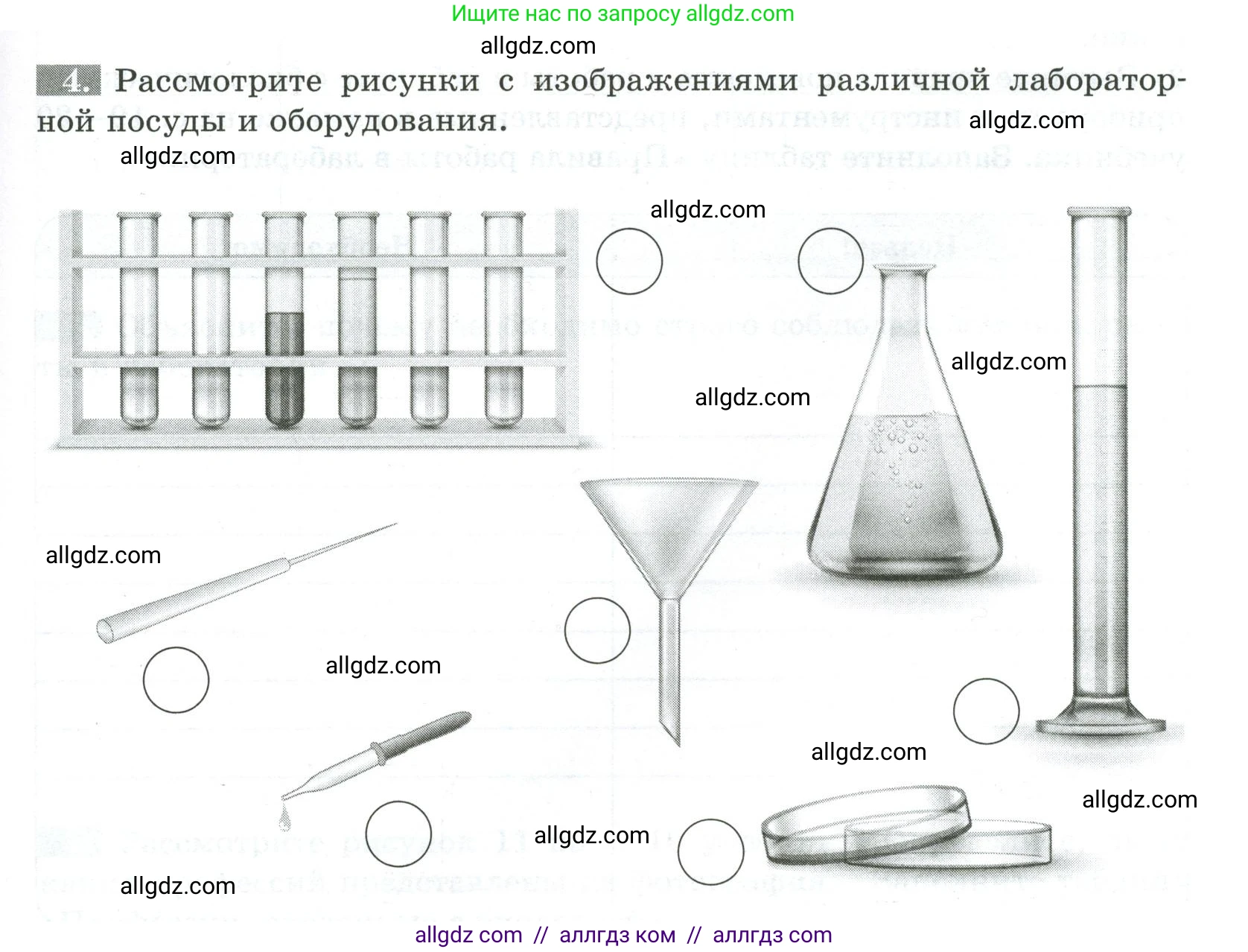Биология, 5 класс рабочая тетрадь, авторы: Пасечник Владимир Васильевич, Суматохин Сергей Витальевич, Швецов Глеб Геннадьевич, Гапонюк Зоя Георгиевна, Косарькова Марина Викторовна, издательство Просвещение, Москва, 2023, оранжевого цвета, страница 9, номер 4, Условие