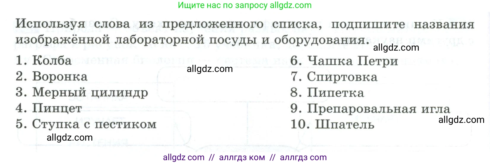 Биология, 5 класс рабочая тетрадь, авторы: Пасечник Владимир Васильевич, Суматохин Сергей Витальевич, Швецов Глеб Геннадьевич, Гапонюк Зоя Георгиевна, Косарькова Марина Викторовна, издательство Просвещение, Москва, 2023, оранжевого цвета, страница 9, номер 4, Условие (продолжение 2)