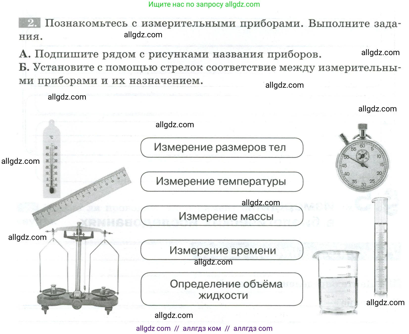 Биология, 5 класс рабочая тетрадь, авторы: Пасечник Владимир Васильевич, Суматохин Сергей Витальевич, Швецов Глеб Геннадьевич, Гапонюк Зоя Георгиевна, Косарькова Марина Викторовна, издательство Просвещение, Москва, 2023, оранжевого цвета, страница 24, номер 2, Условие