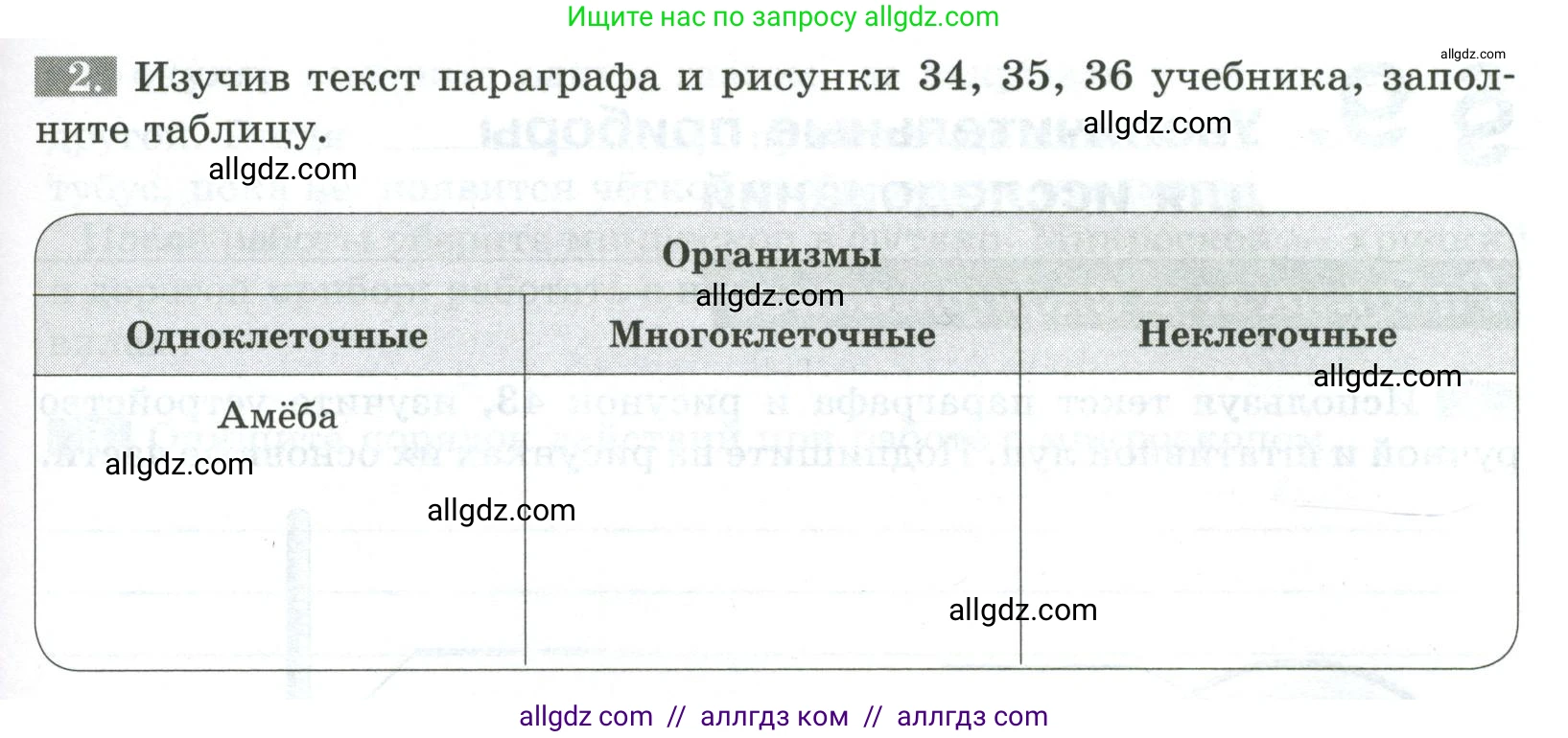 Биология, 5 класс рабочая тетрадь, авторы: Пасечник Владимир Васильевич, Суматохин Сергей Витальевич, Швецов Глеб Геннадьевич, Гапонюк Зоя Георгиевна, Косарькова Марина Викторовна, издательство Просвещение, Москва, 2023, оранжевого цвета, страница 39, номер 2, Условие
