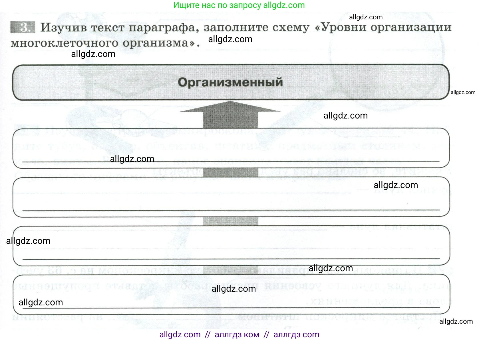 Биология, 5 класс рабочая тетрадь, авторы: Пасечник Владимир Васильевич, Суматохин Сергей Витальевич, Швецов Глеб Геннадьевич, Гапонюк Зоя Георгиевна, Косарькова Марина Викторовна, издательство Просвещение, Москва, 2023, оранжевого цвета, страница 39, номер 3, Условие