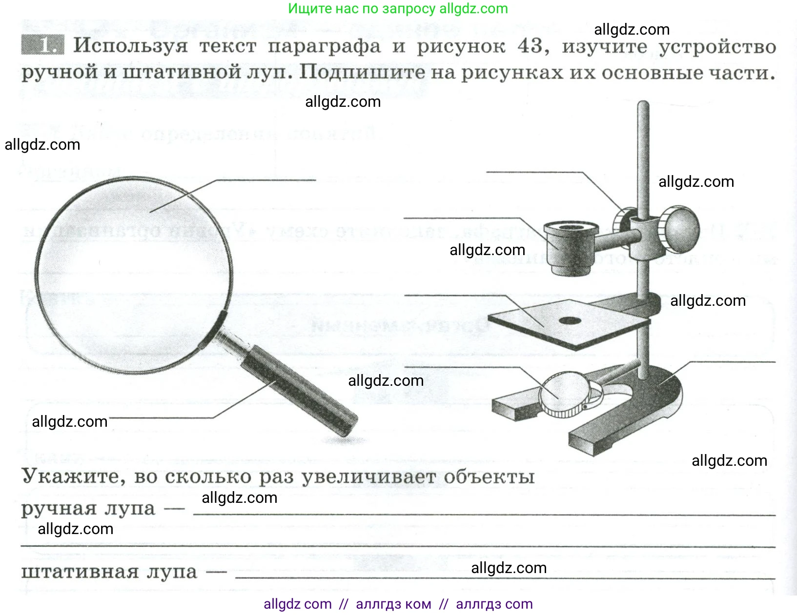 Биология, 5 класс рабочая тетрадь, авторы: Пасечник Владимир Васильевич, Суматохин Сергей Витальевич, Швецов Глеб Геннадьевич, Гапонюк Зоя Георгиевна, Косарькова Марина Викторовна, издательство Просвещение, Москва, 2023, оранжевого цвета, страница 40, номер 1, Условие